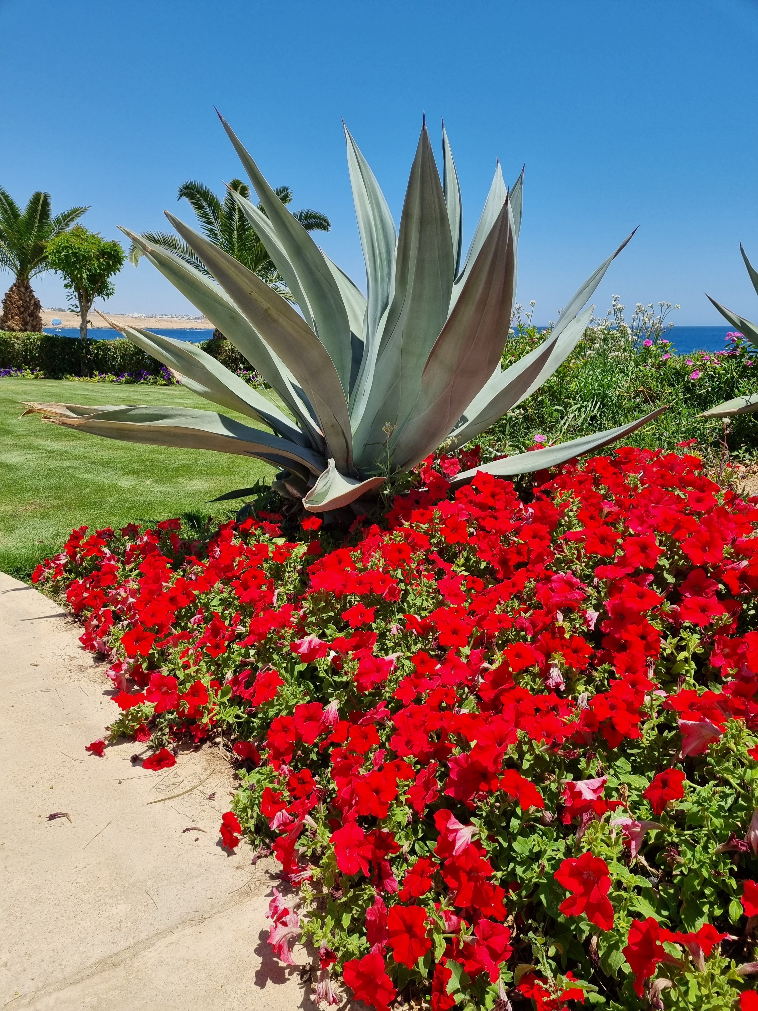 Фото Stella Di Mare Beach Hotel & Spa