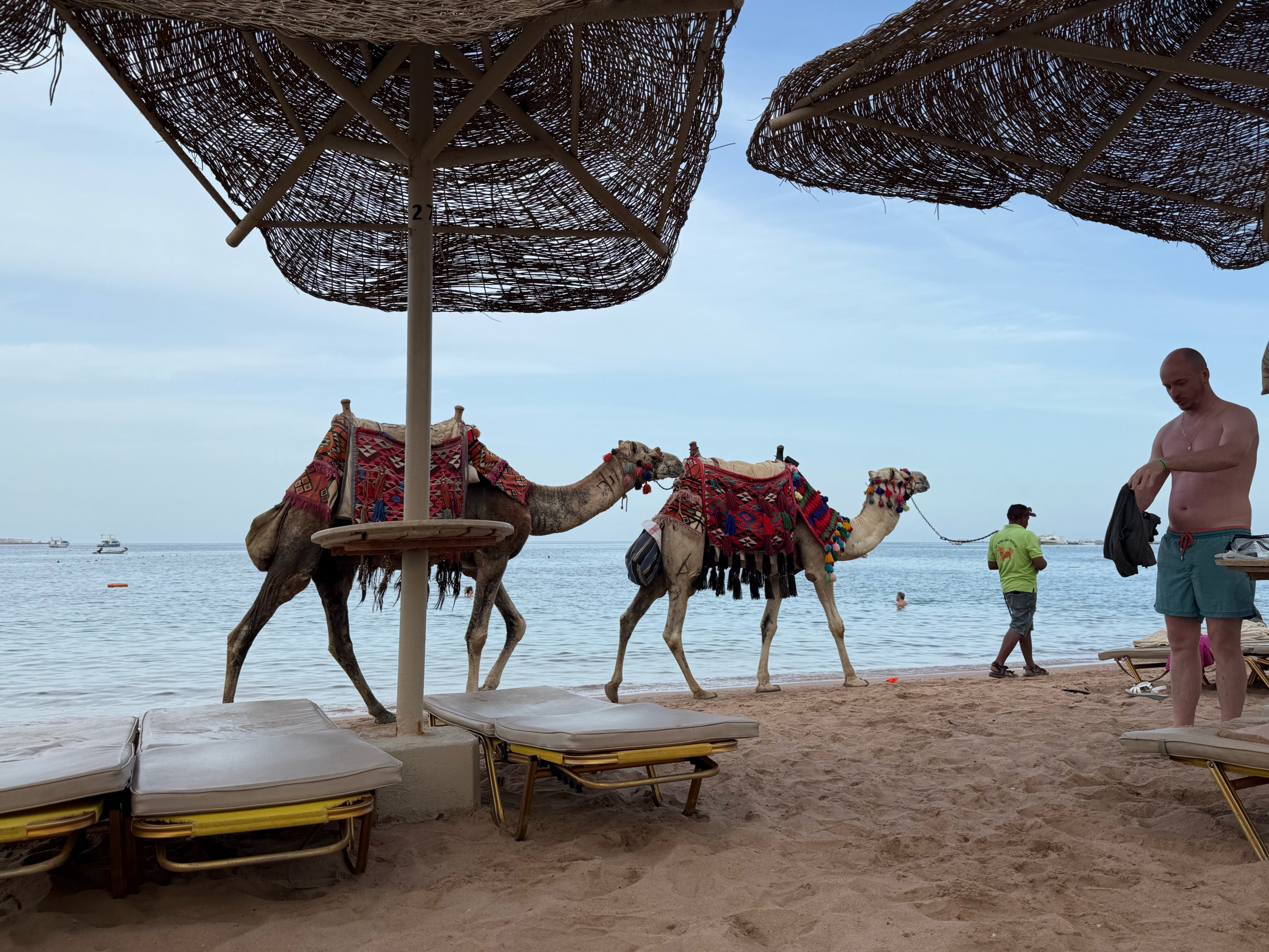 Фото Джаз Макади Стар & СПА