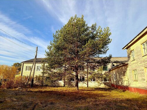 Hospital Yemetskaya Munitsipalnaya bolnitsa, Arkhangel'skaya Oblast', photo
