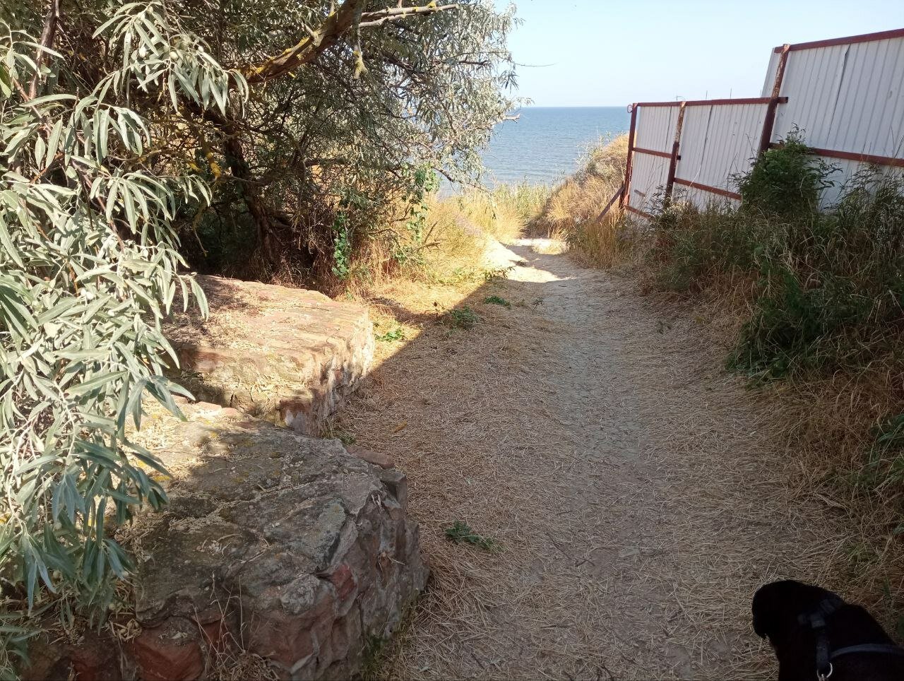 Фото Дом на берегу моря