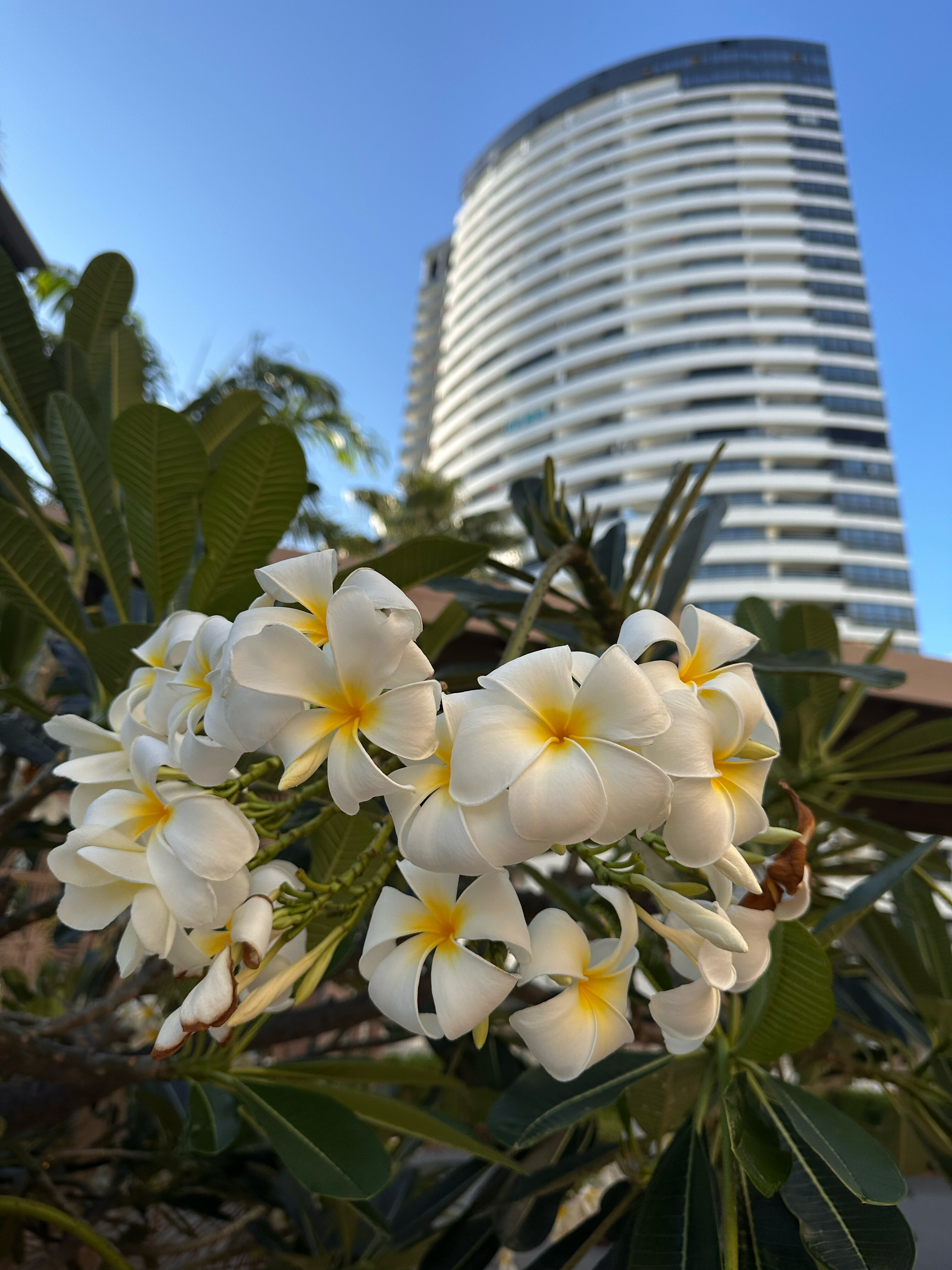 Фото Jomtien Palm Beach