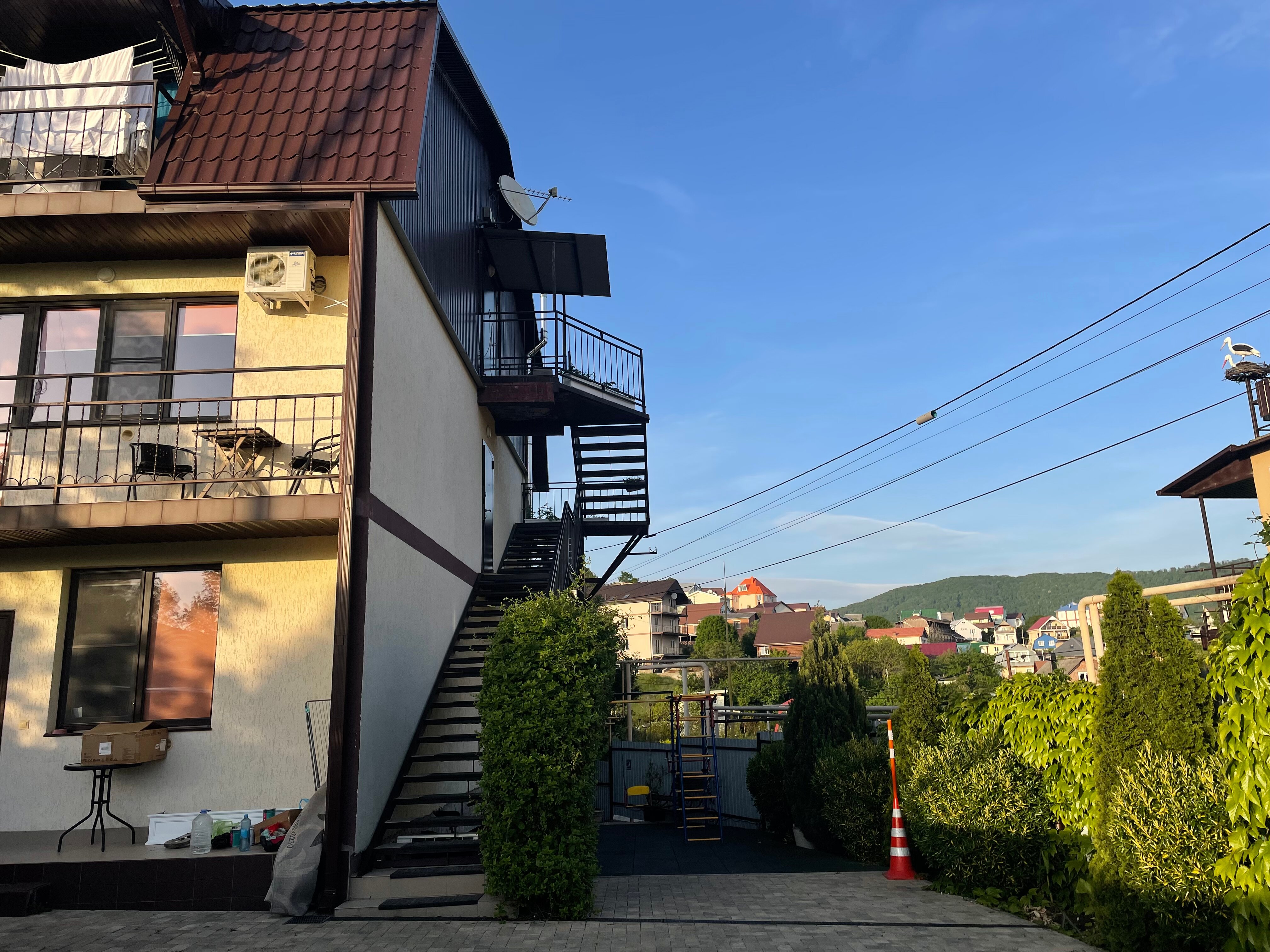 Фото Колибри