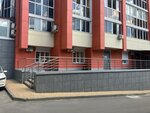 Tega (Letchika Zamkina Street, 48), it company