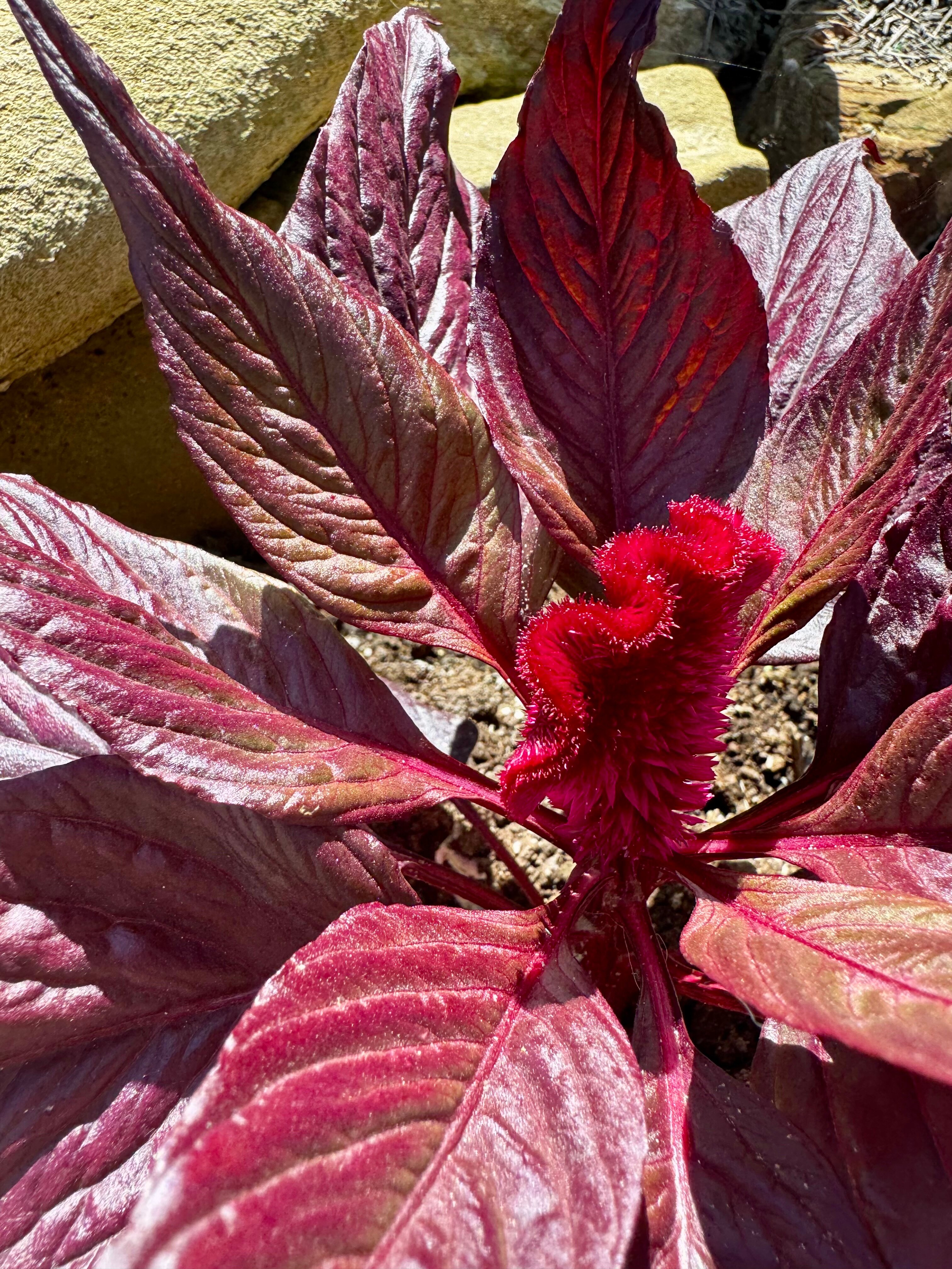 Фото Жилье на Янтарной