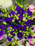 Твои Цветы (rayon Severnaya Zhilaya Chast, mikrorayon Druzhba, 2/7), flower shop