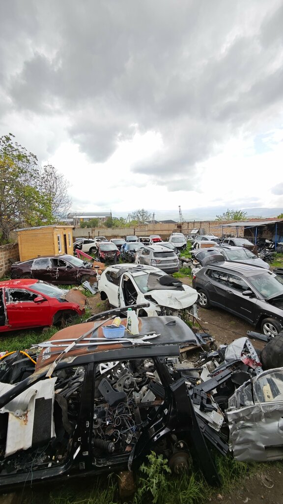 Car disassembly AutoDetal, Kotayk, photo