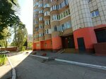 ТСЖ № 274 (ulitsa Svobody, 200), hoa, junta directiva de snt