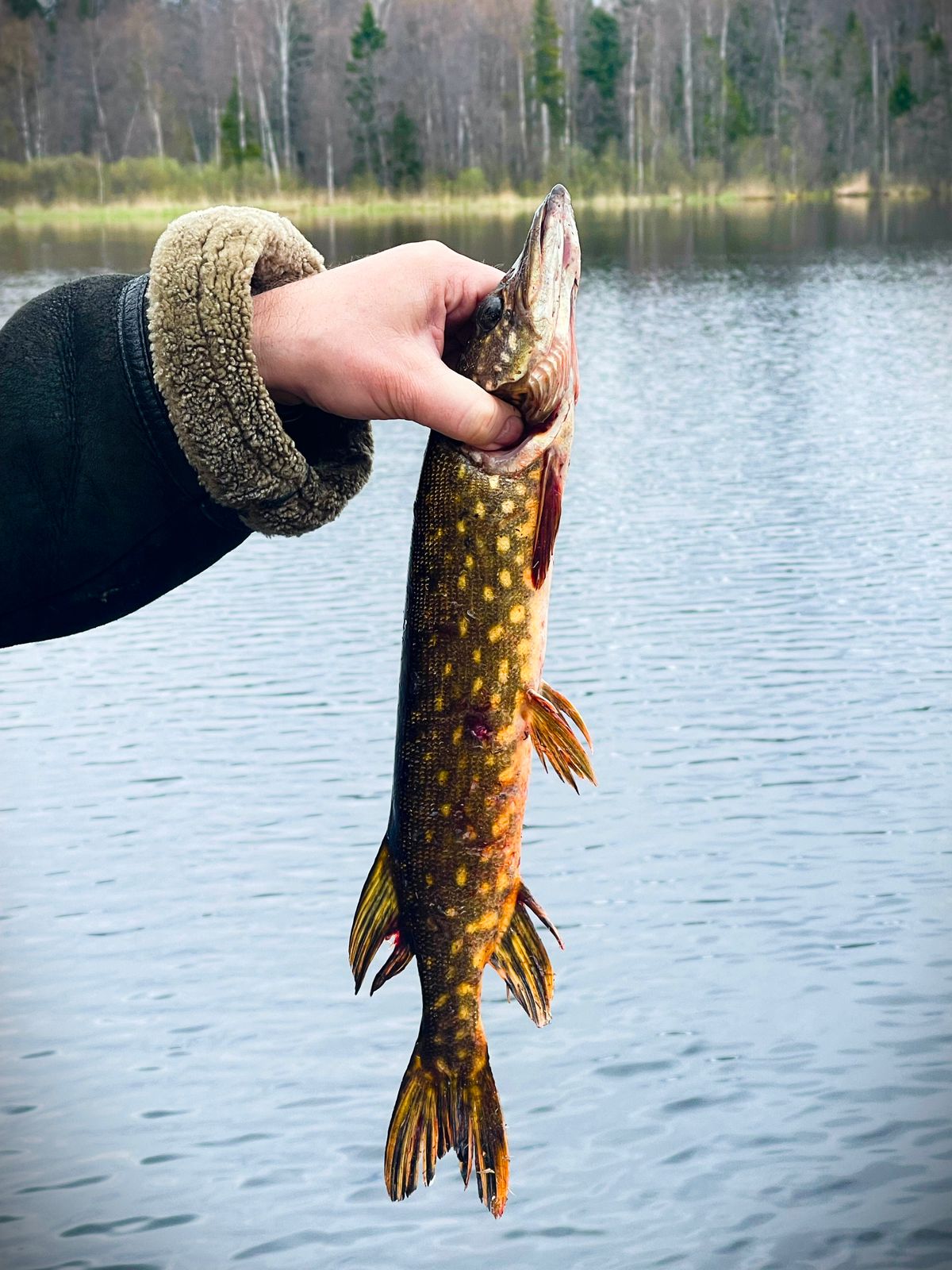 Фото Дом на Валдае