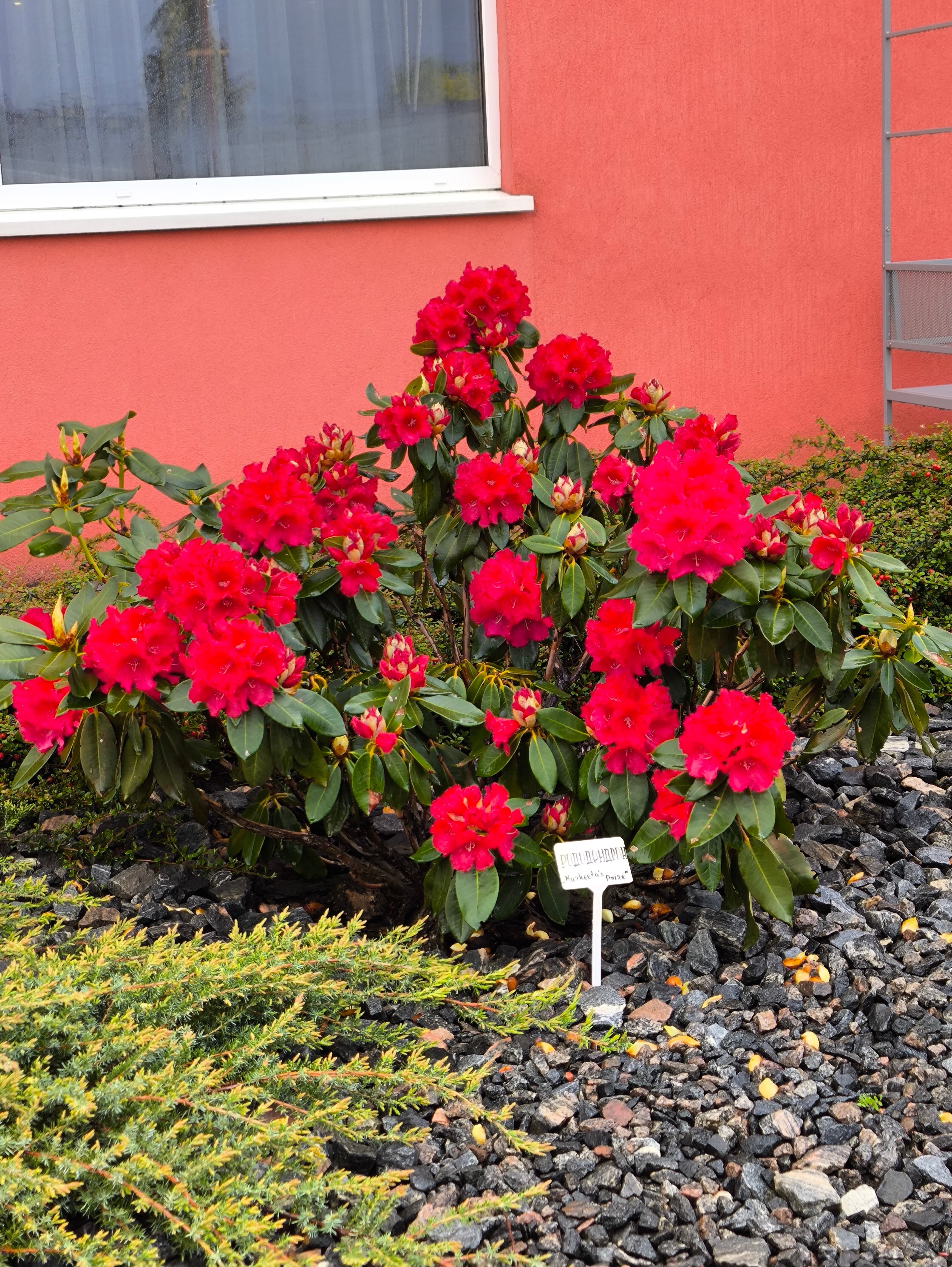 Фото Friday Center