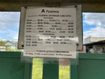 Rudziensk (Minskaja region, Puhavicki rajon, Rudzienski sielsaviet, garadski pasiolak Rudziensk, ulitsa Kirova), public transport stop