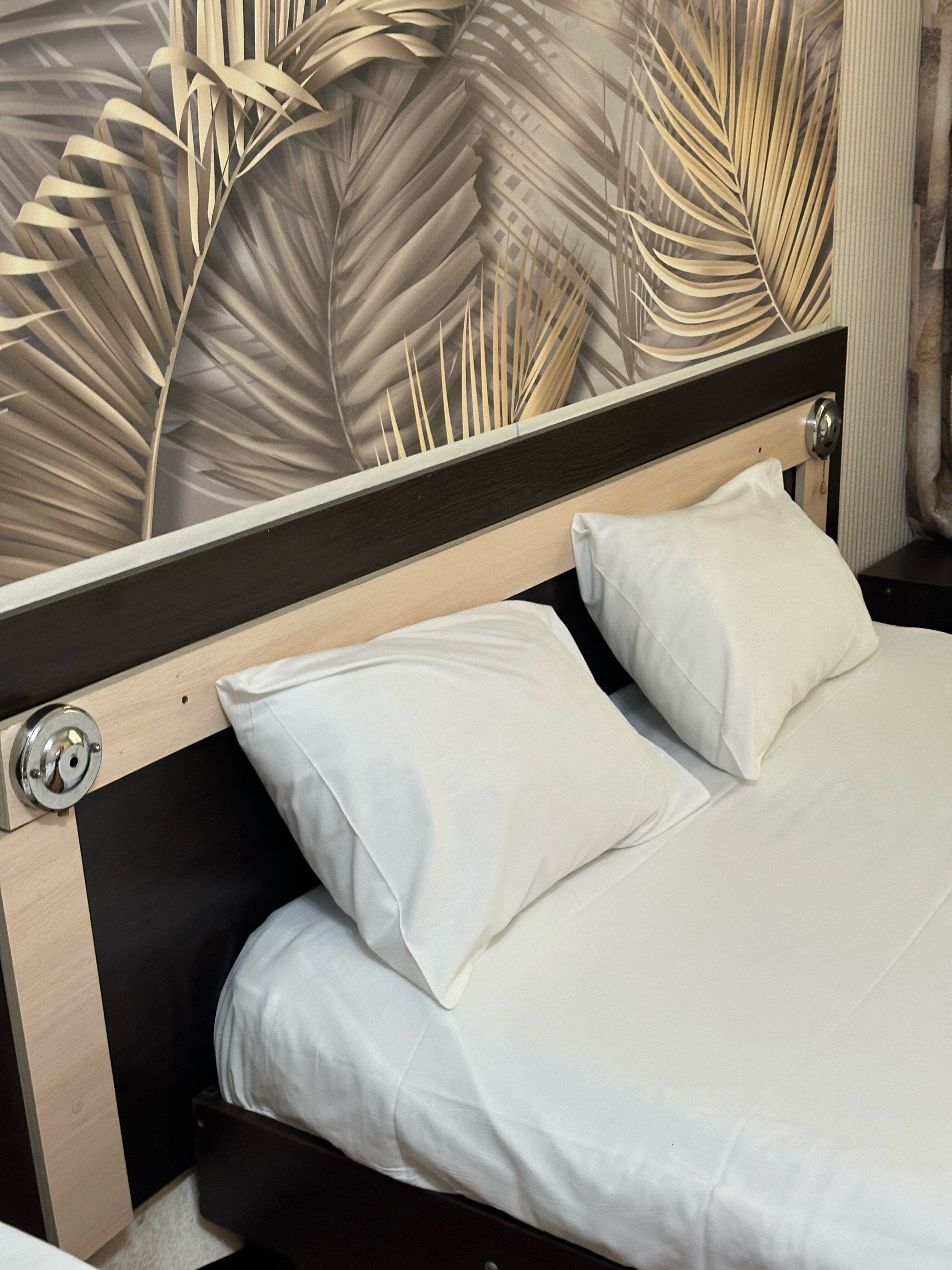 Фото Азалия Мимоза