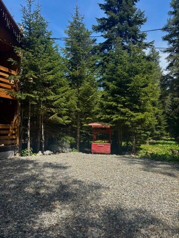 Фото Триумф