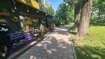 OroNero Coffee (Abay Avenue, 59), coffee shop