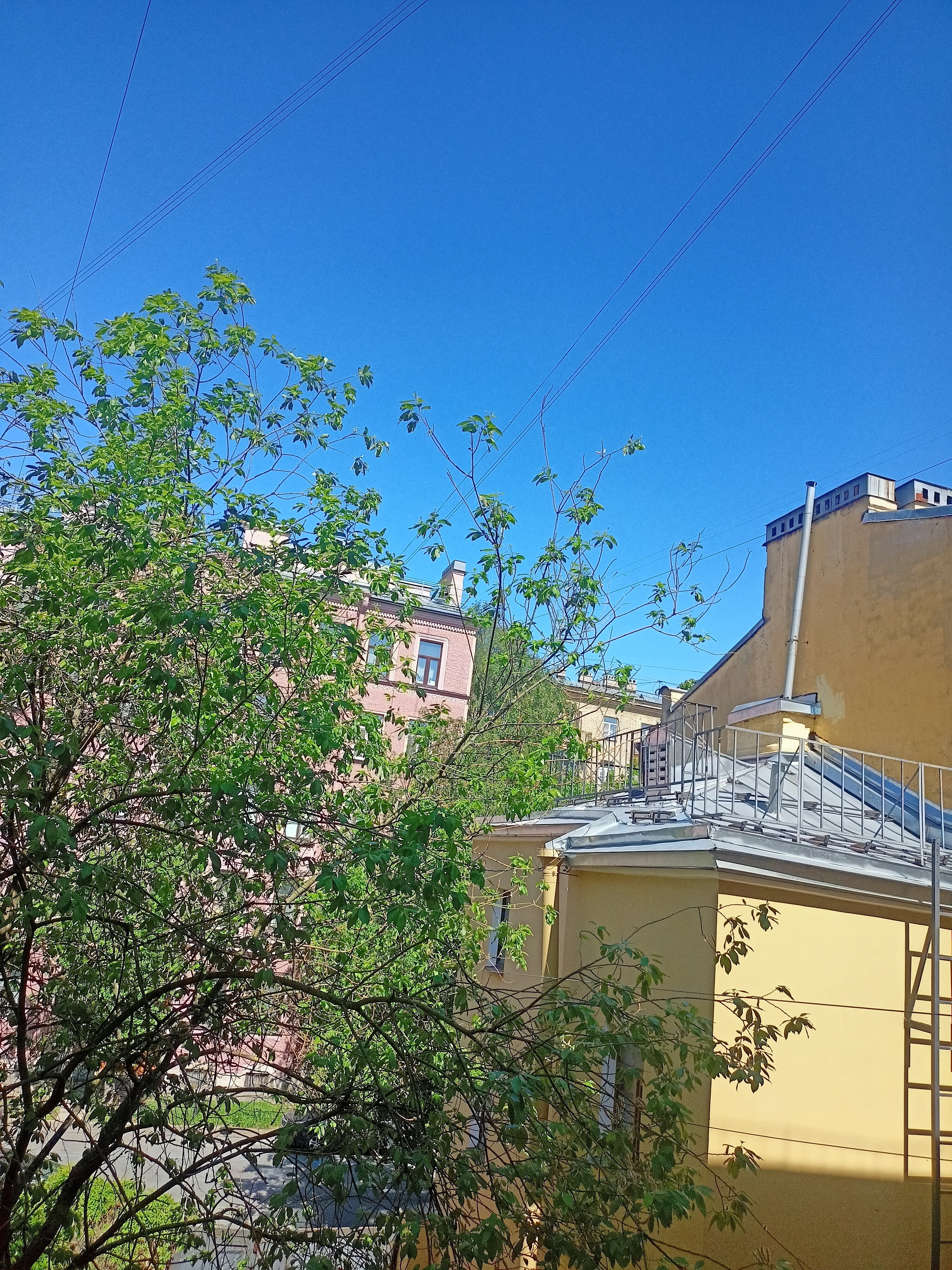 Фото The Roomers