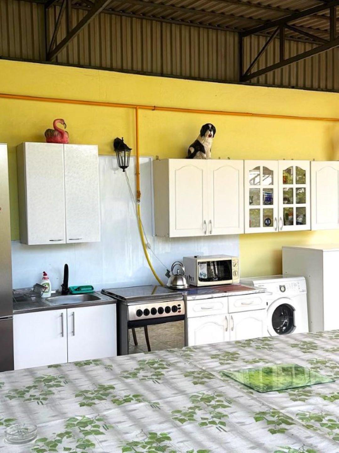 Фото Виноградная аллея