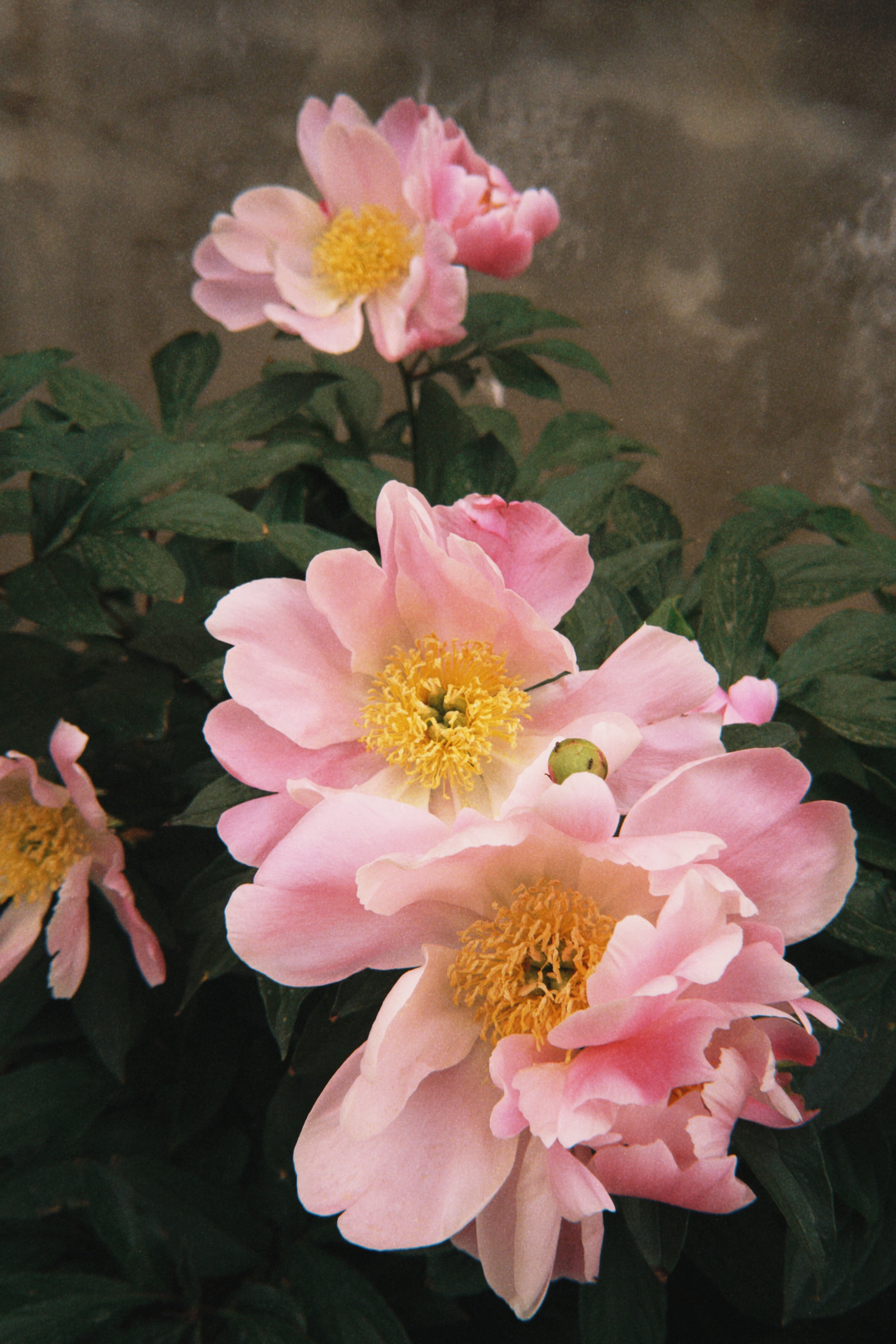 Фото Акватория