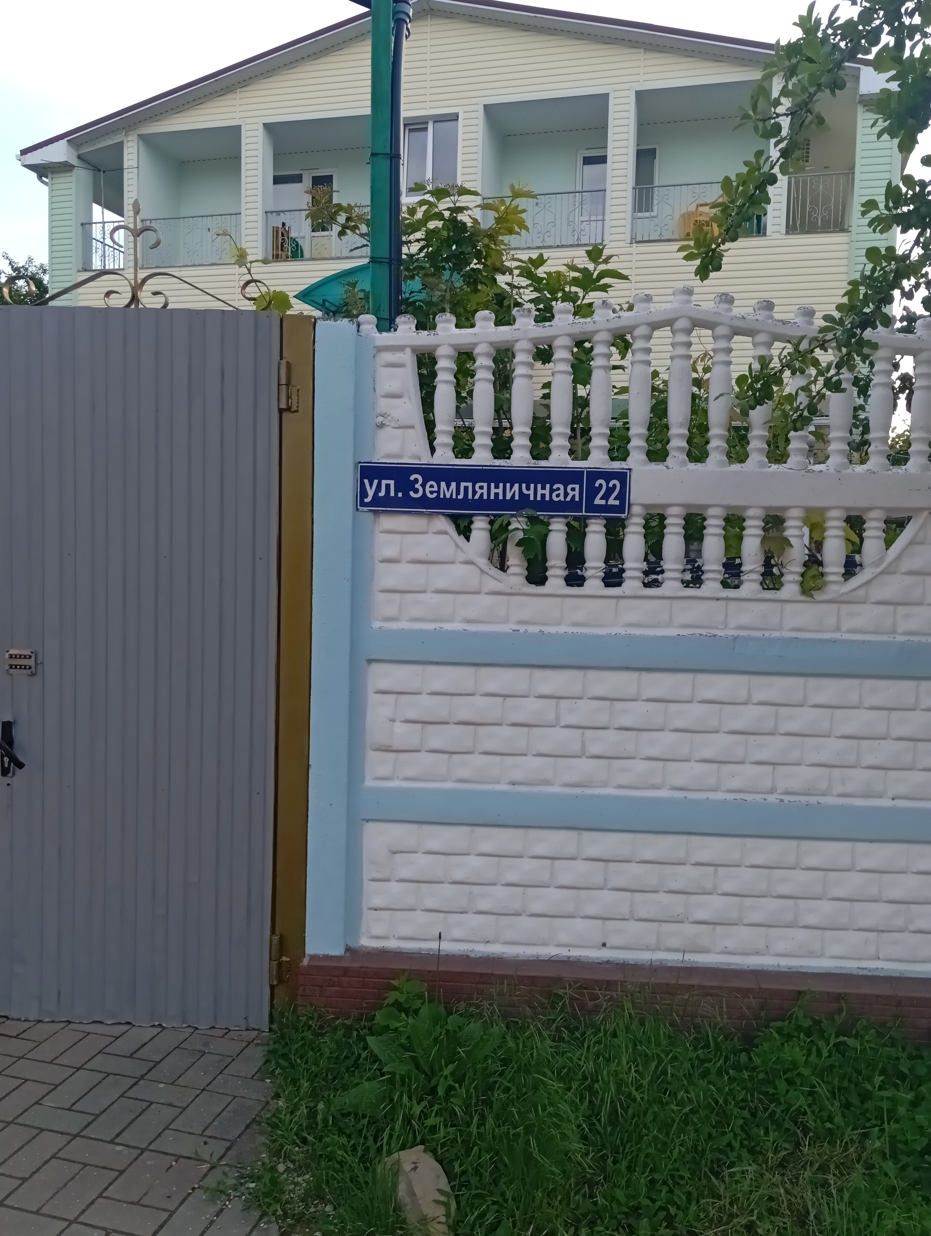 Фото Серебристая Чайка