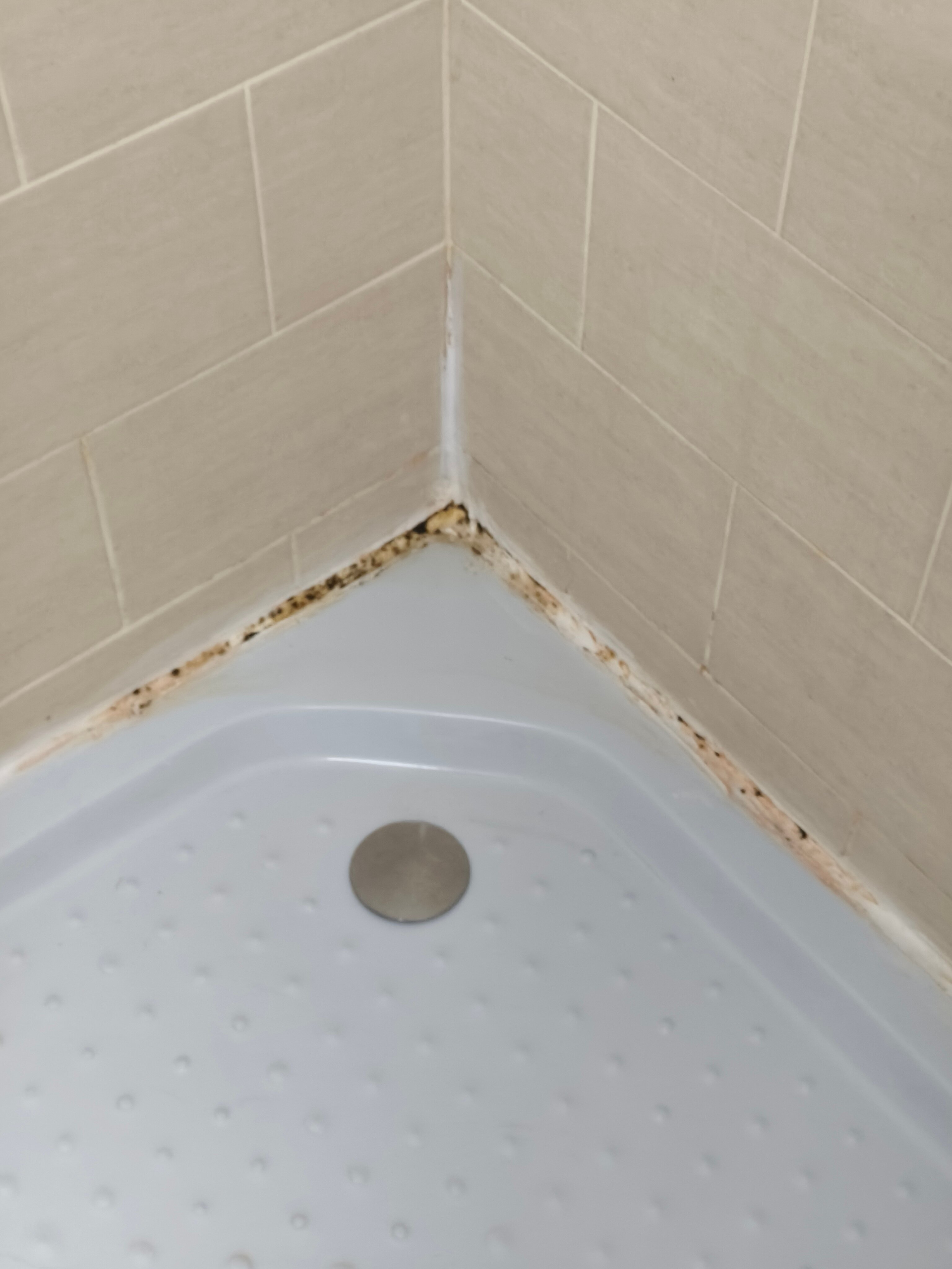 Фото Идея-Студия