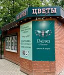 P4elka flowers (mikrorayon Aviagorodok, 16В) ، محل زهور