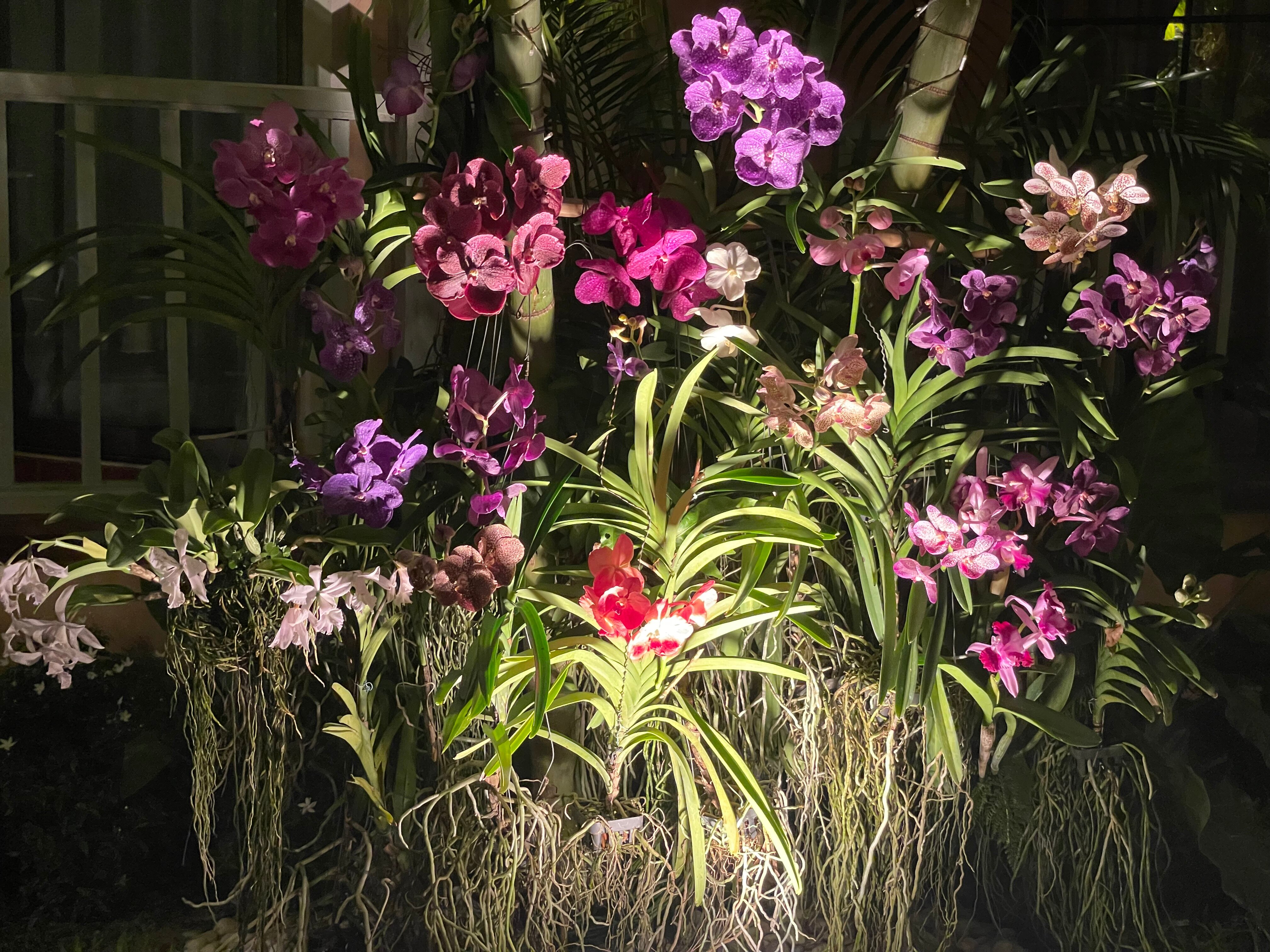 Фото Anantasila Beach Resort Hua Hin