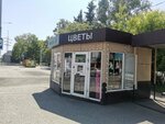Exotic. 42 (Tsiolkovskogo Street, 57/2), flower shop