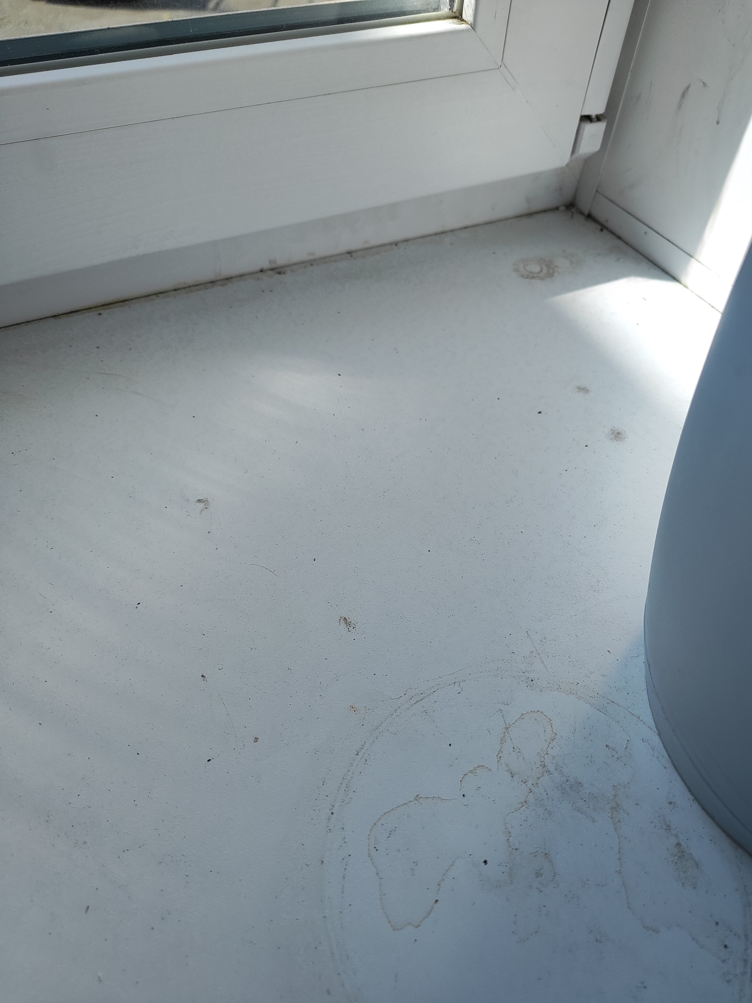 Фото Сити В