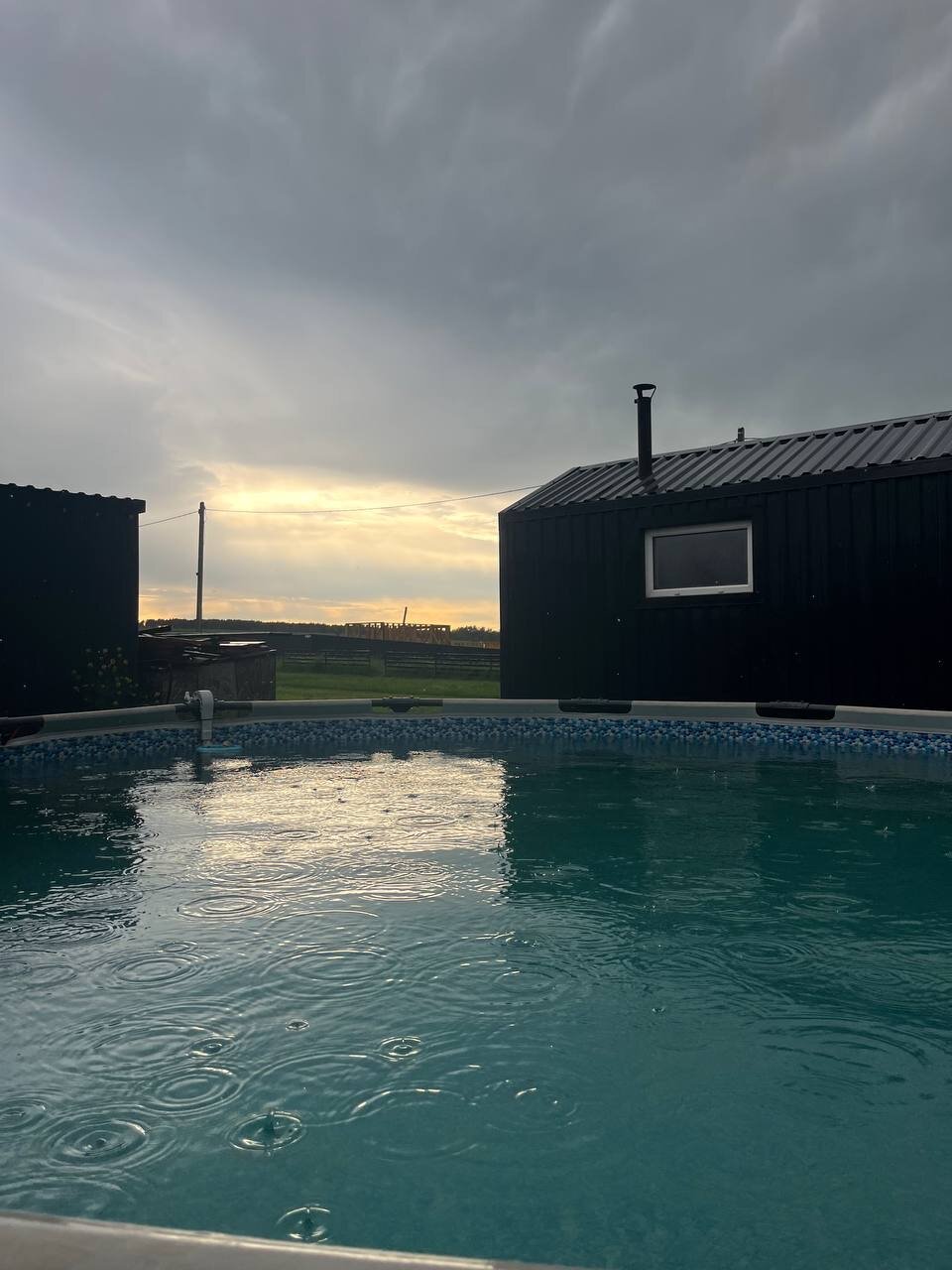 Фото Жар-Птица