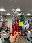 Эталон Уюта (Почтовая ул., 16, корп. 3), сантехника оптом в Минске