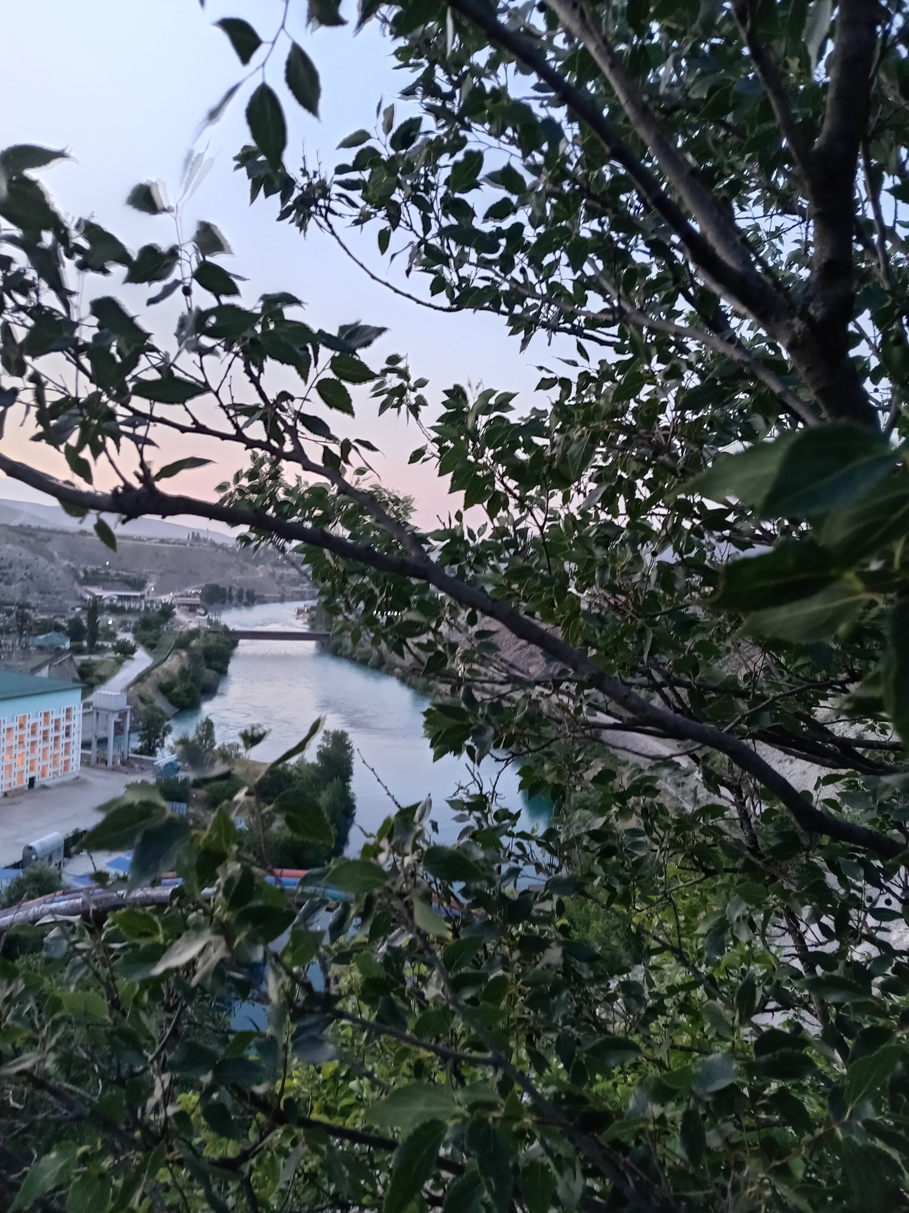 Фото Дубки Сулакский Каньон