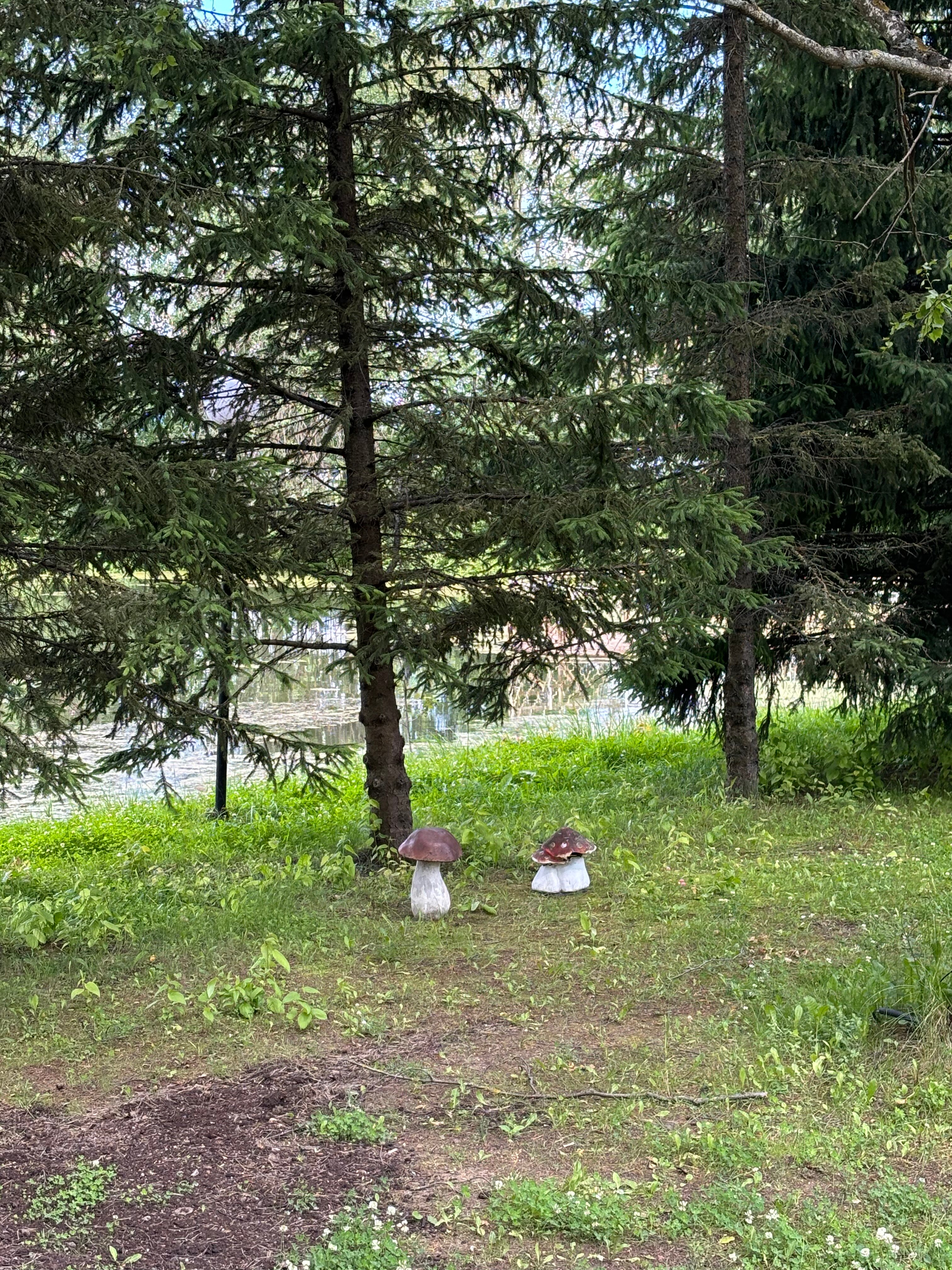 Фото Отель Шереметьево