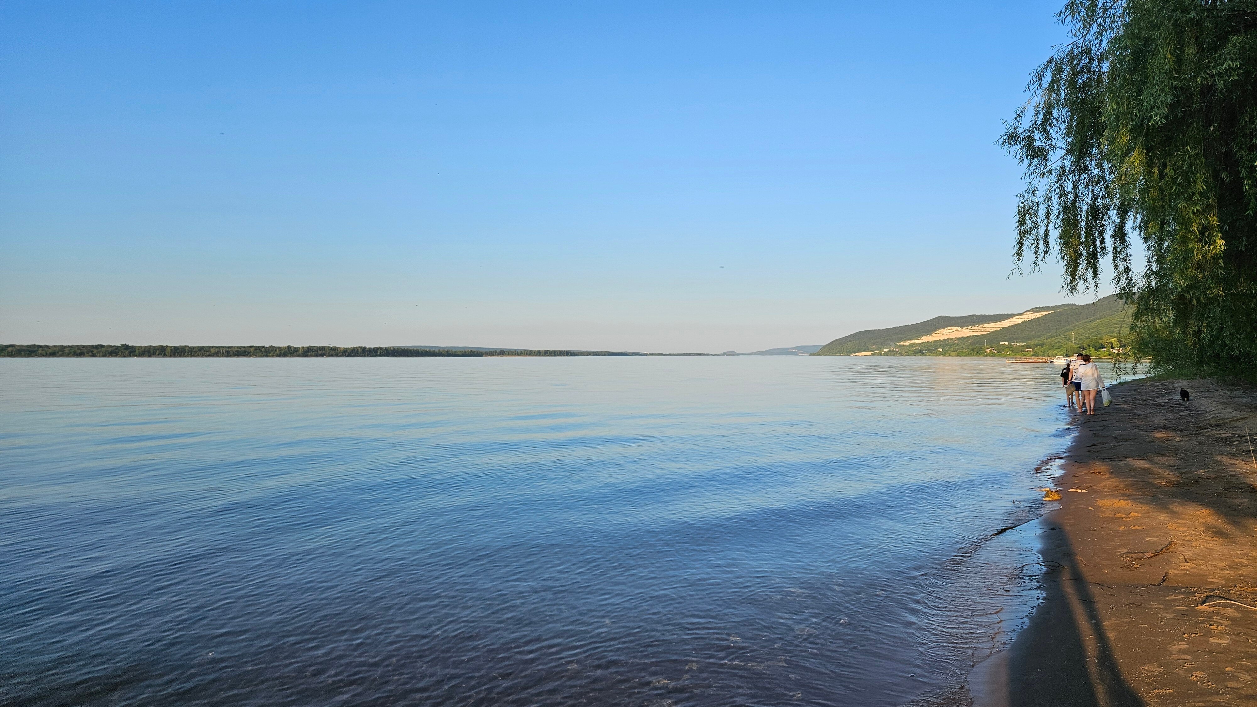 Фото Кошкин дом