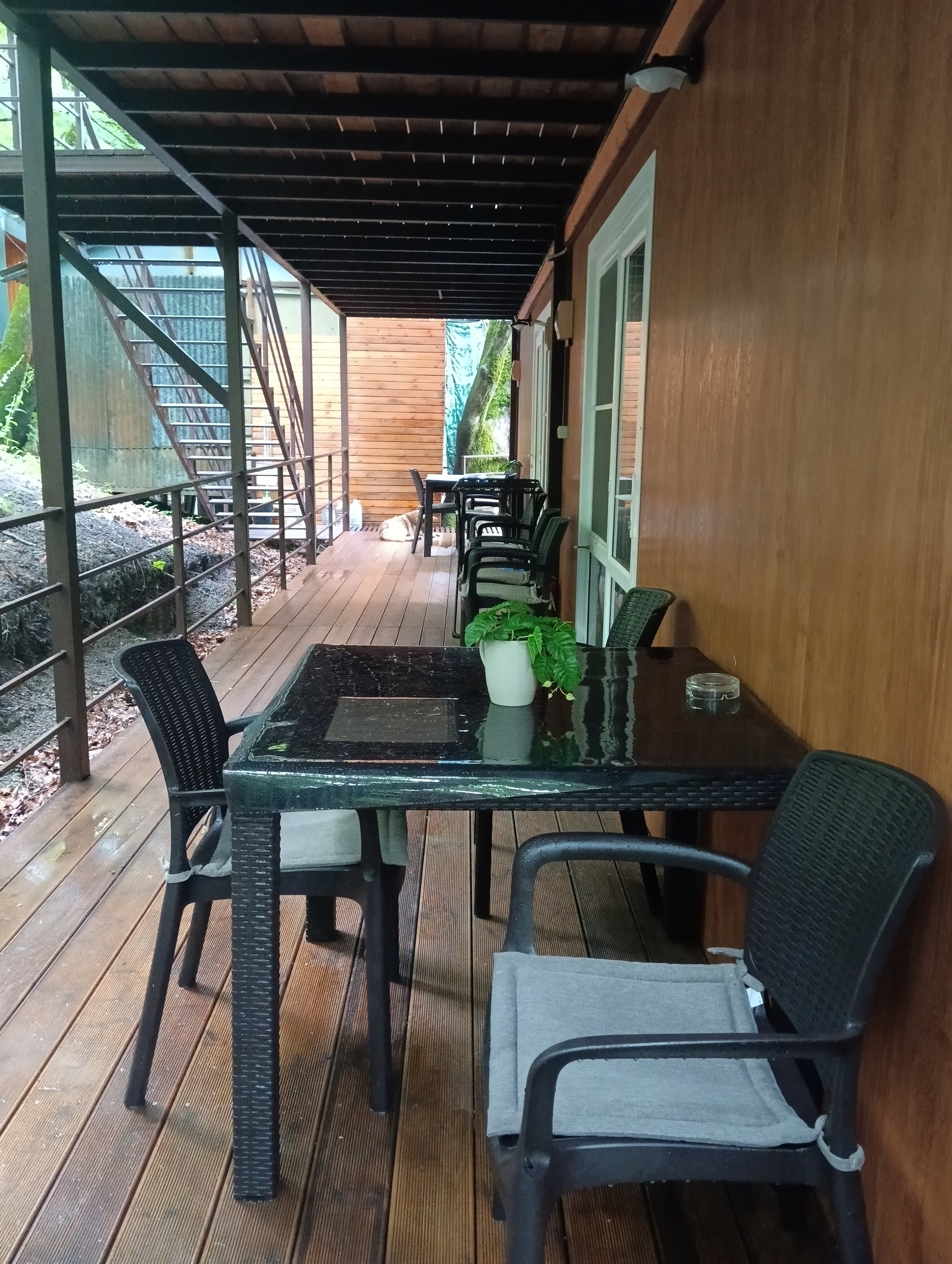 Фото Аммонит