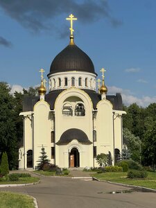 Church of Saint Luke the Crimean Archbishop (No:1с1, Settlement of Noviy), ortodoks kiliseleri  Moskova ve Moskovskaya oblastından
