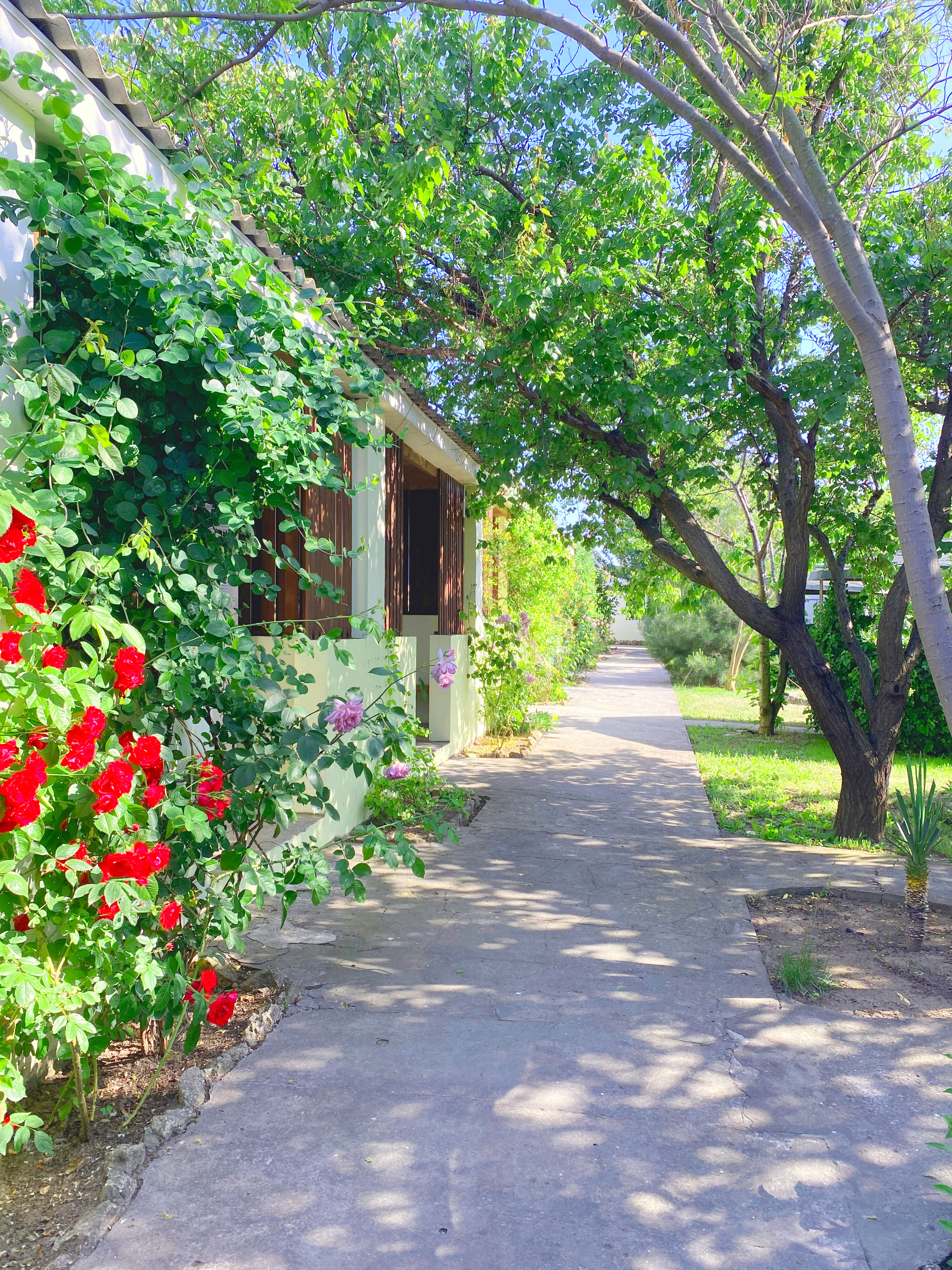 Фото АвокаДа