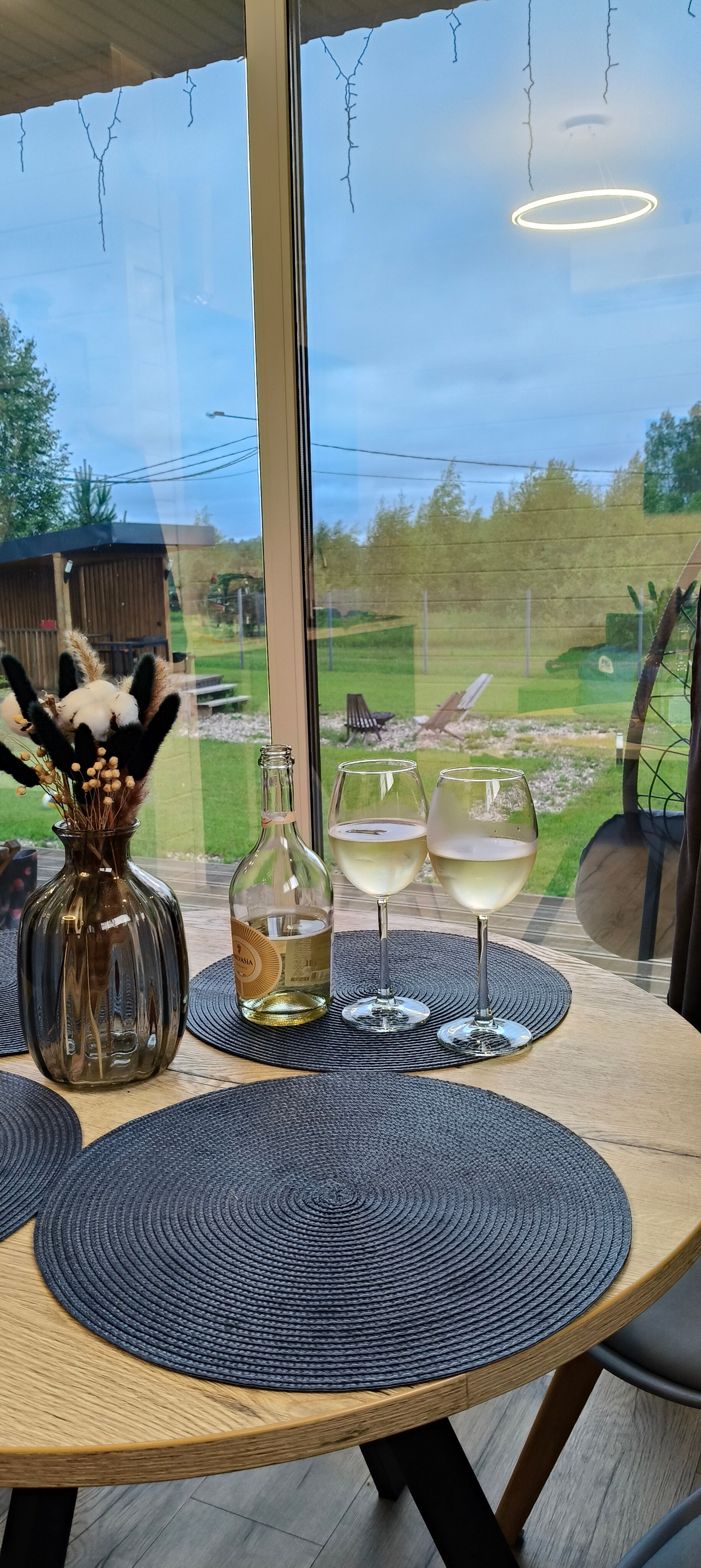 Фото Лес и Волга