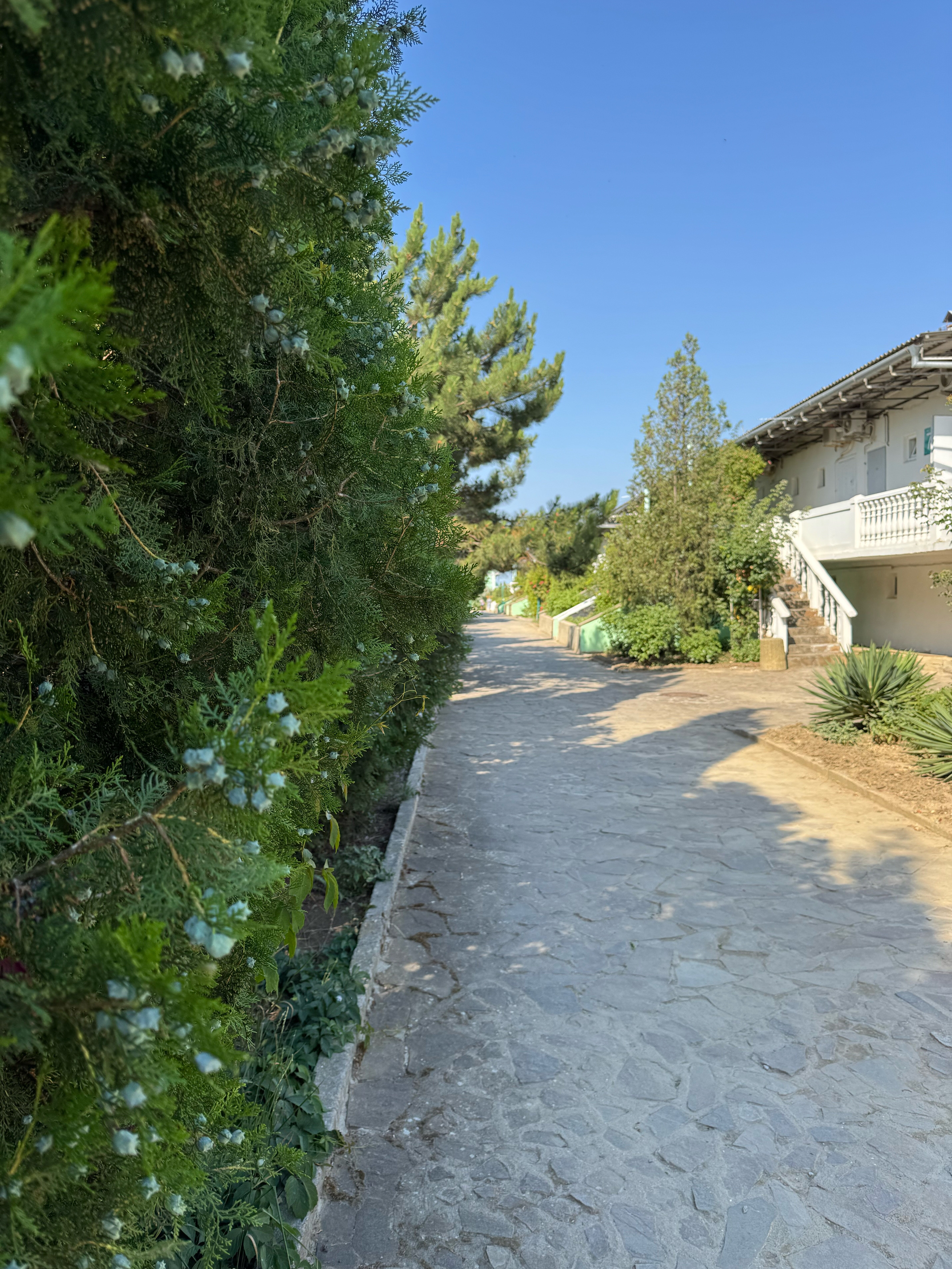 Фото Любоморье