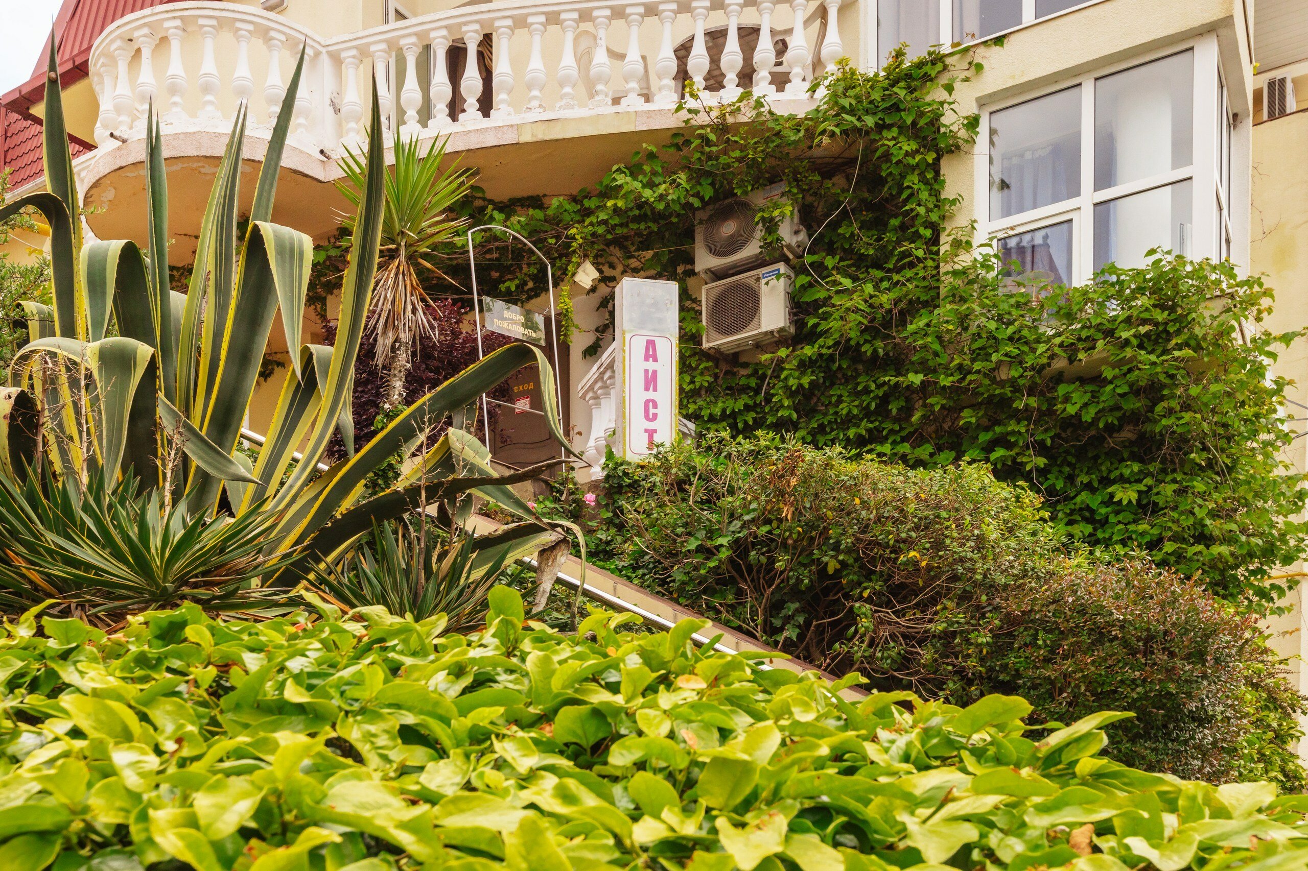 Фото Аист и Капуста