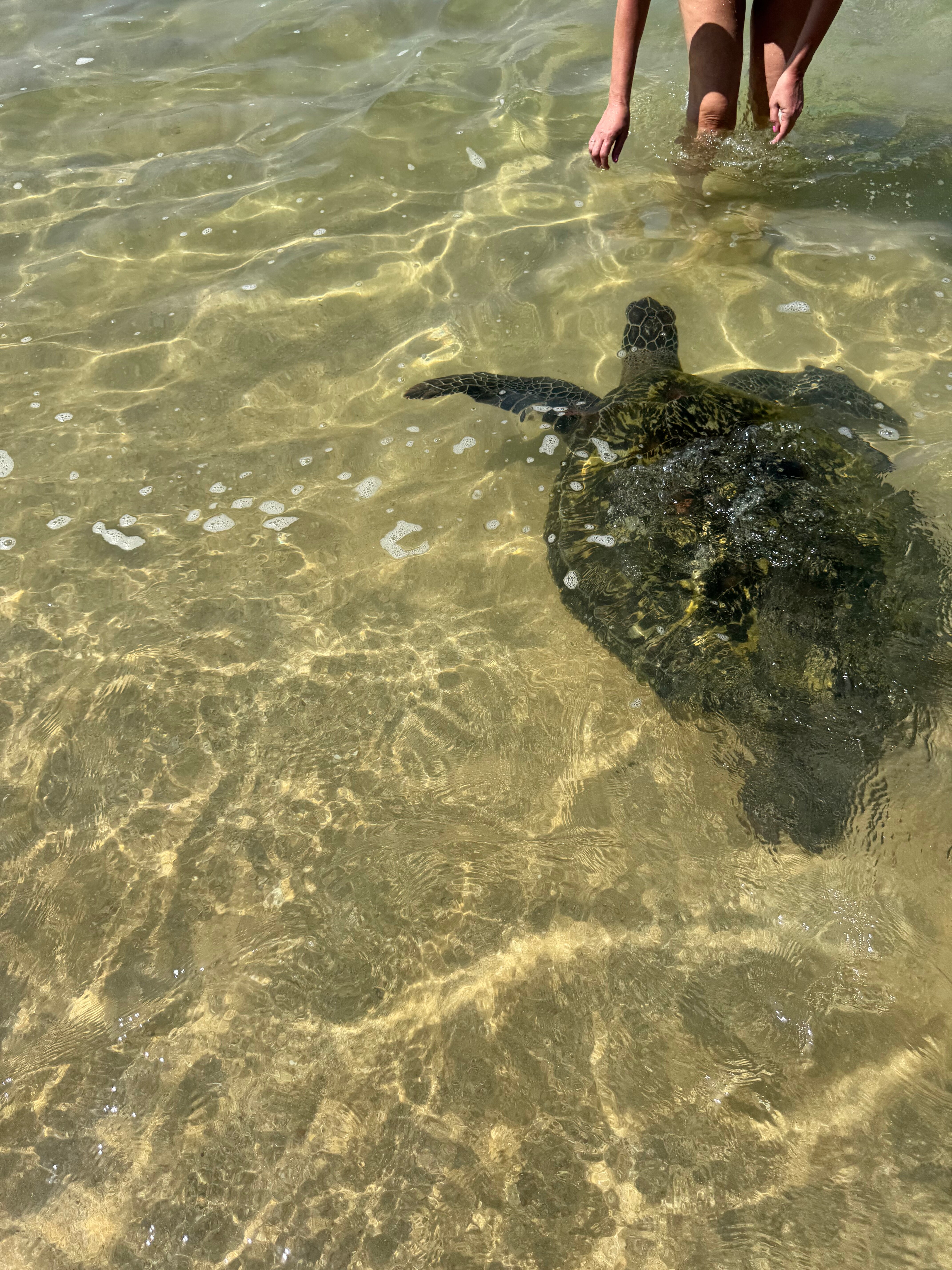 Фото Thambapanni Retreat