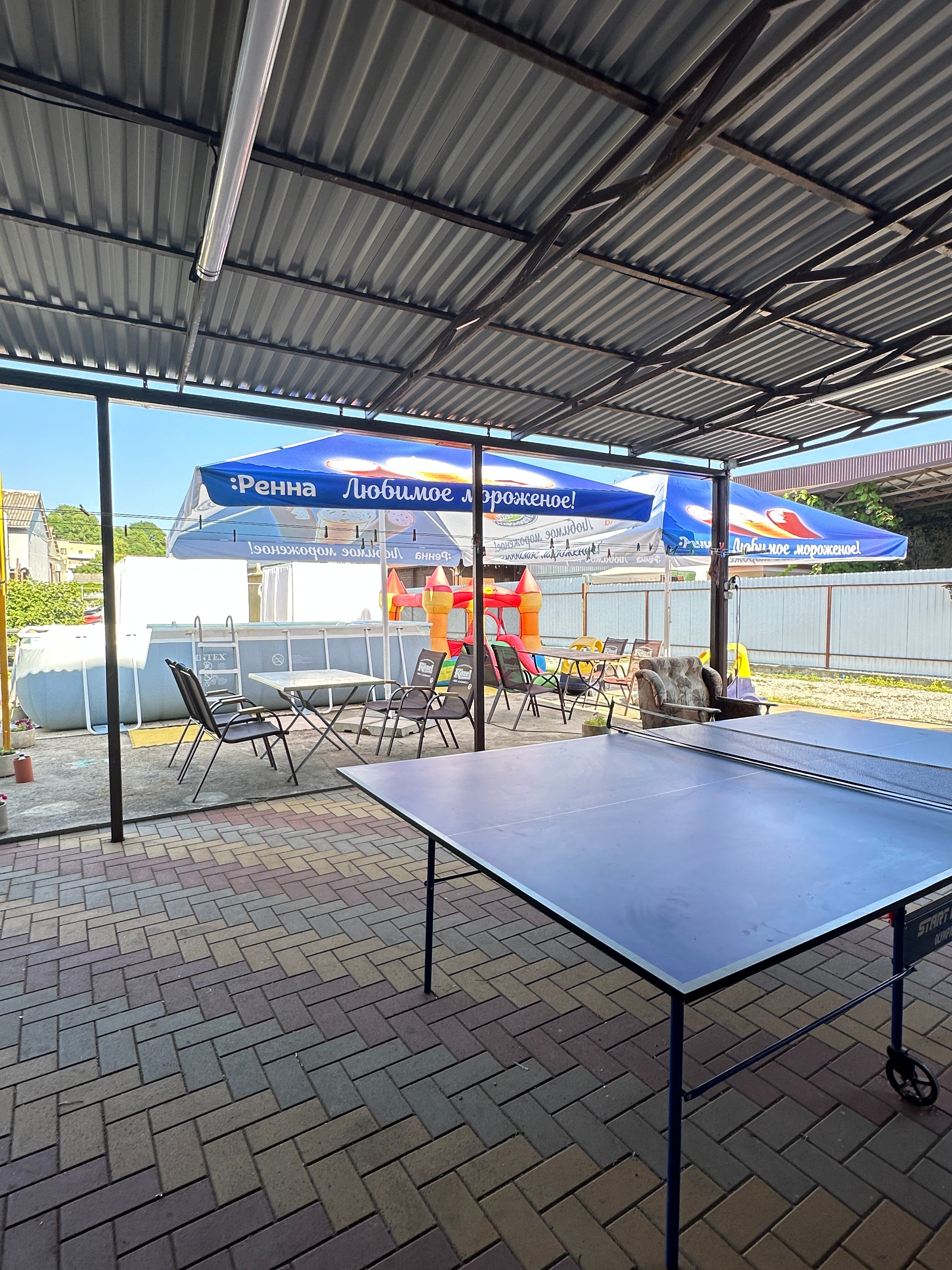 Фото Белый медведь