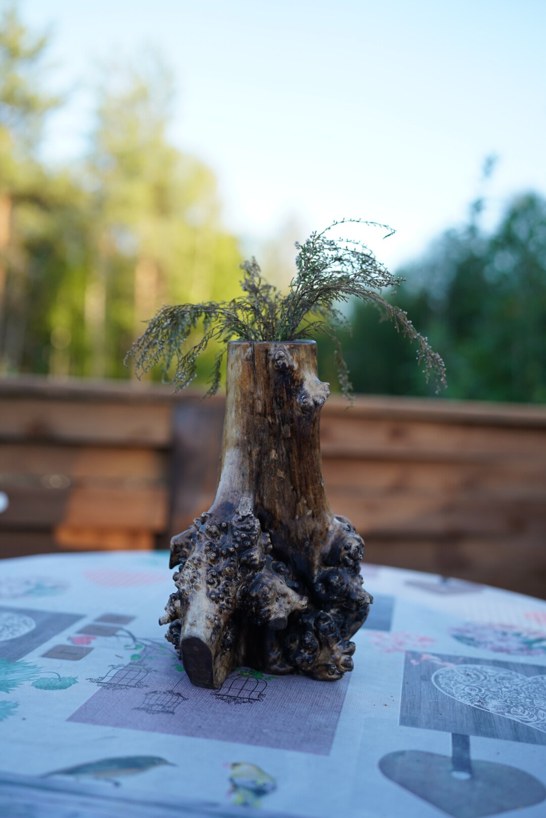 Фото Куйтто