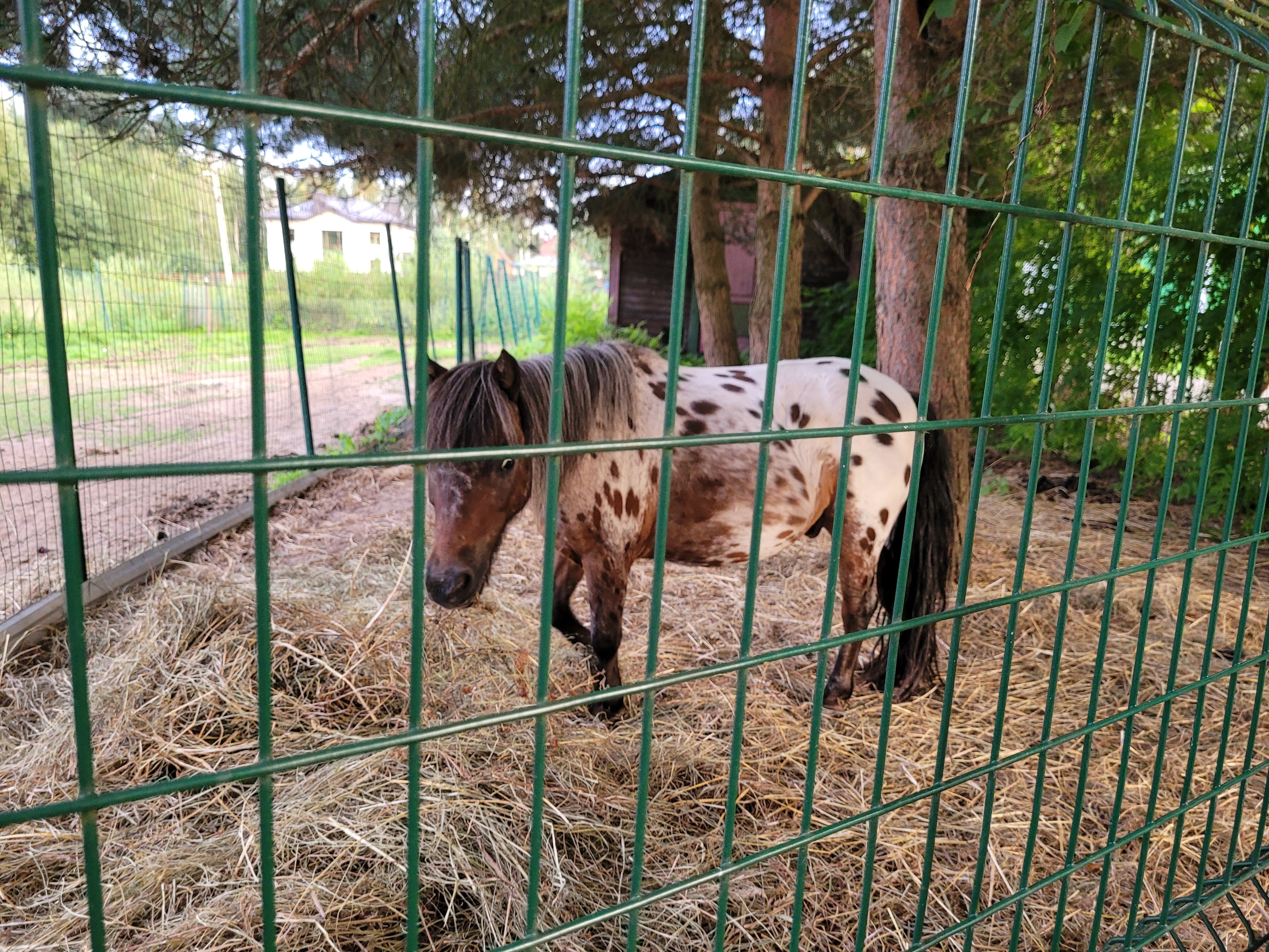 Фото Большая Волга