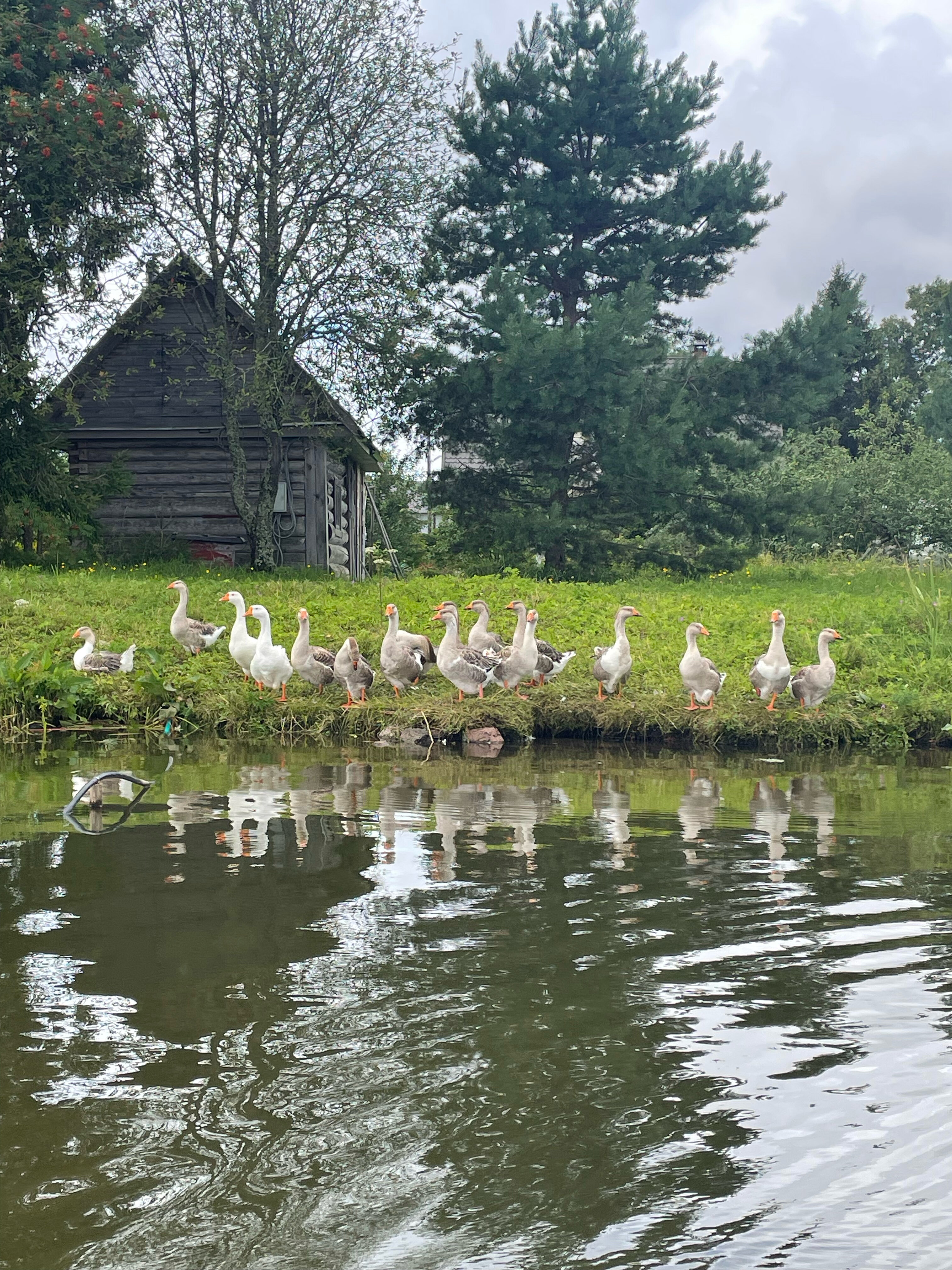 Фото Ура, Селигер!
