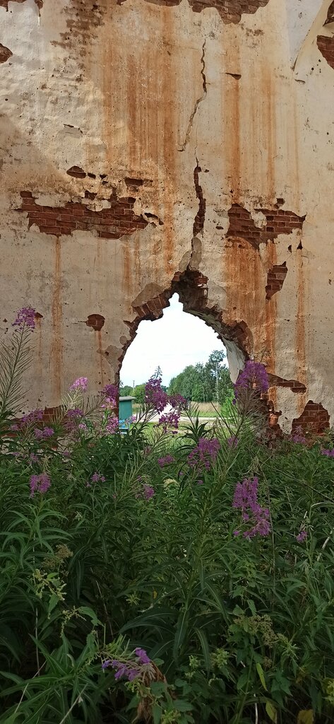 Orthodox church Церковь Петра и Павла в Петровском, Vologda Oblast, photo
