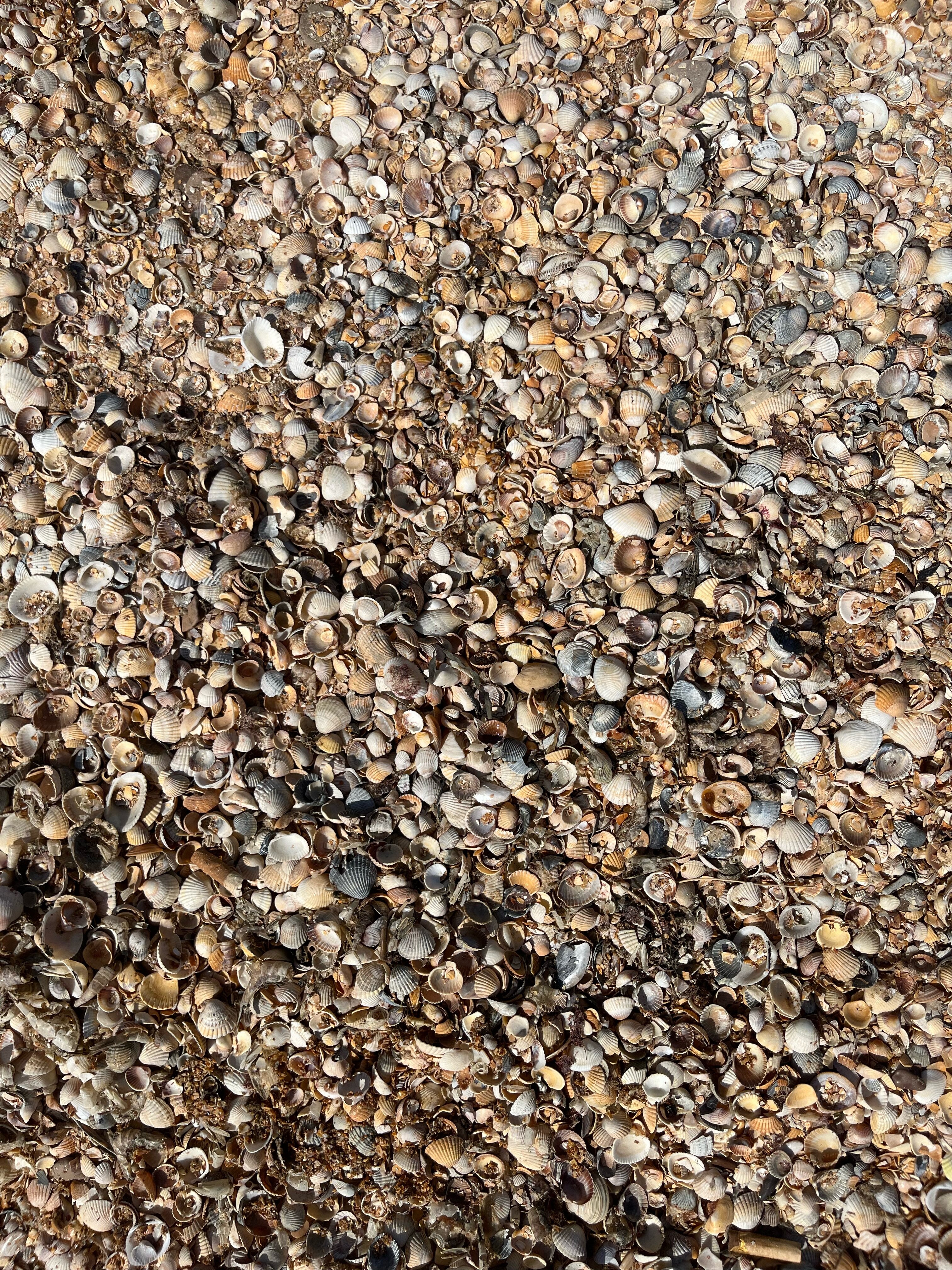 Фото Южный ветер