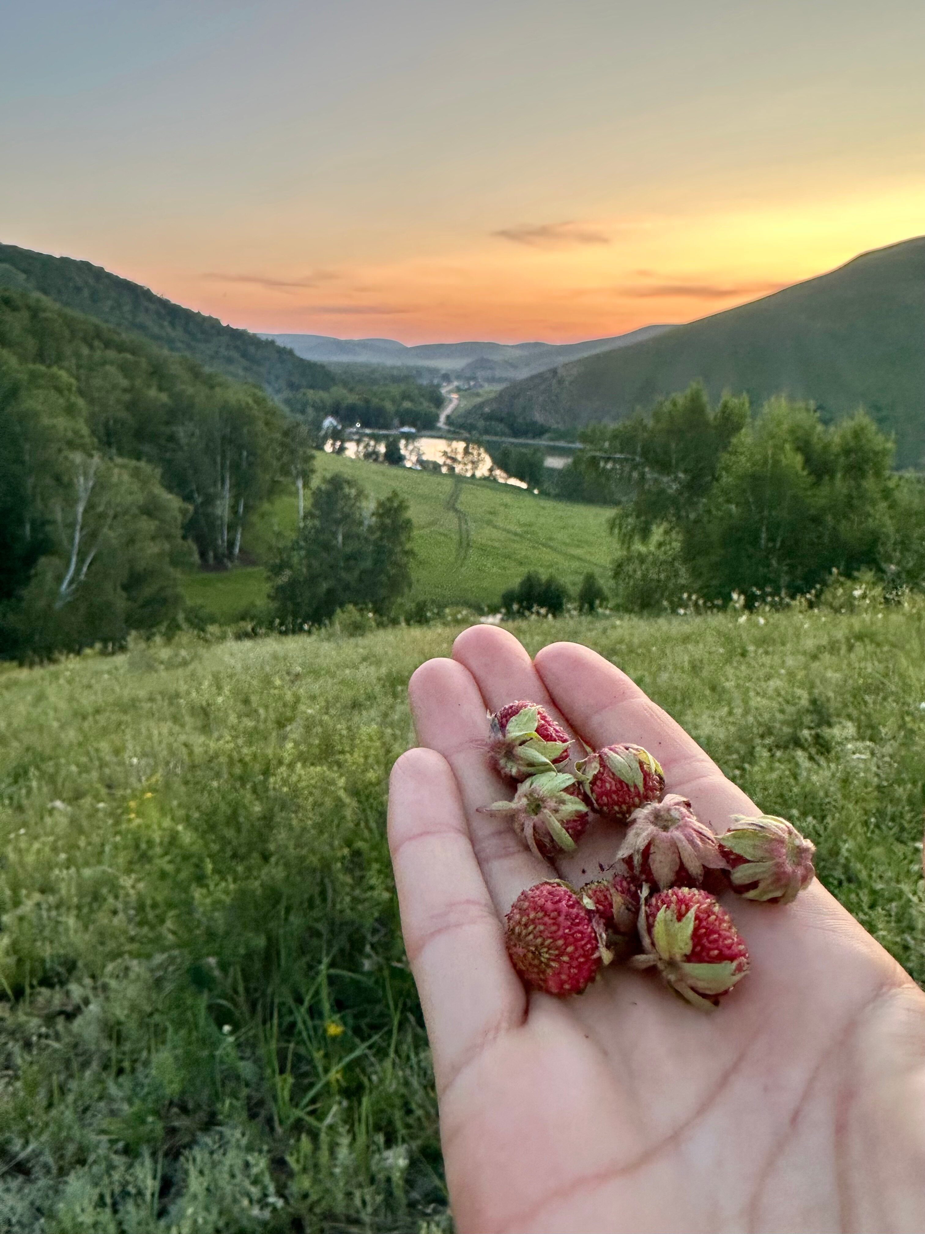 Фото Ямашла