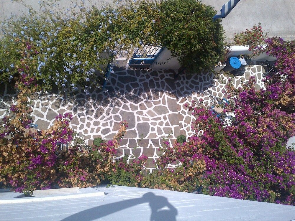 Фото Pelagos Studios