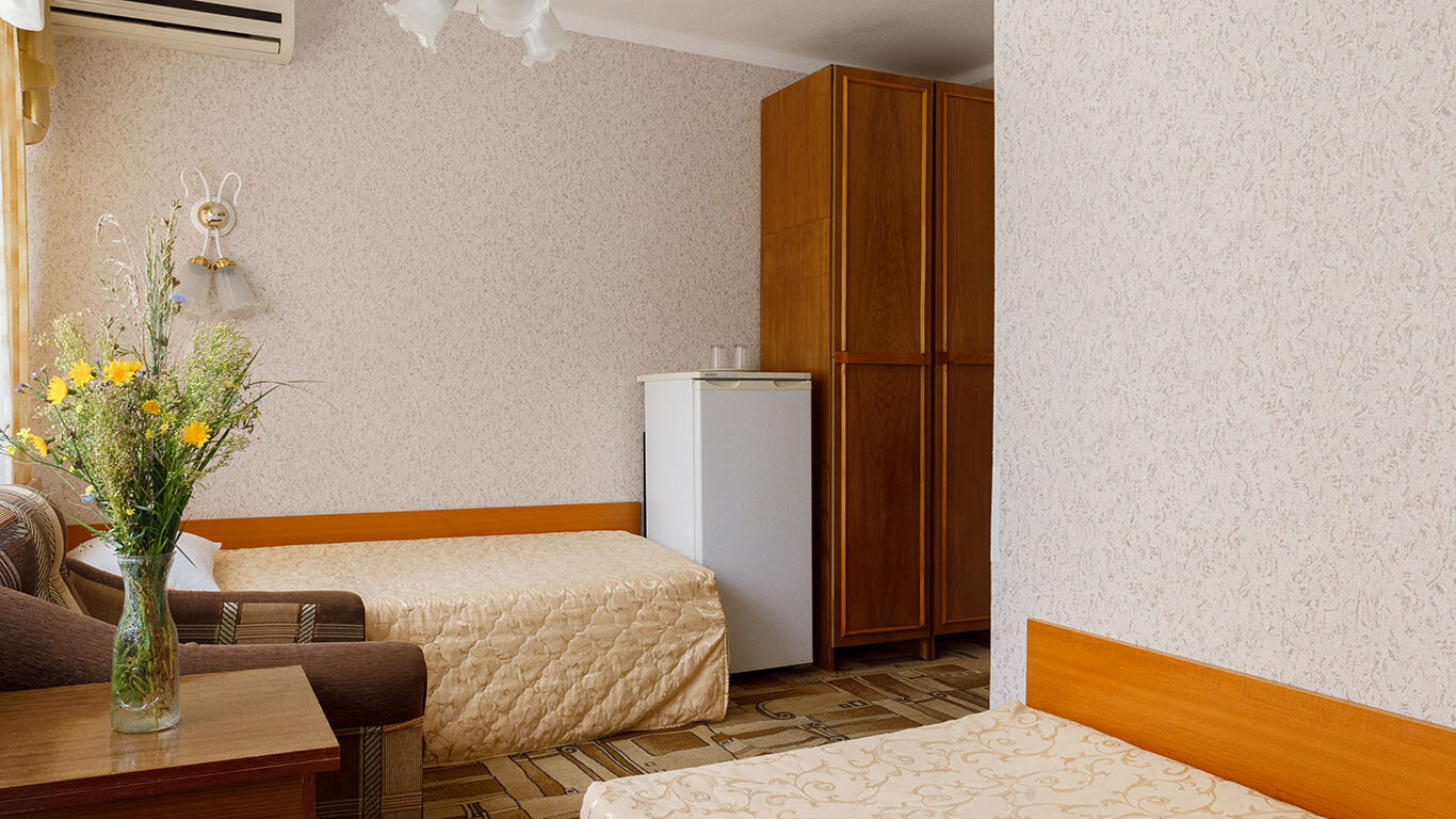 Фото Спутник