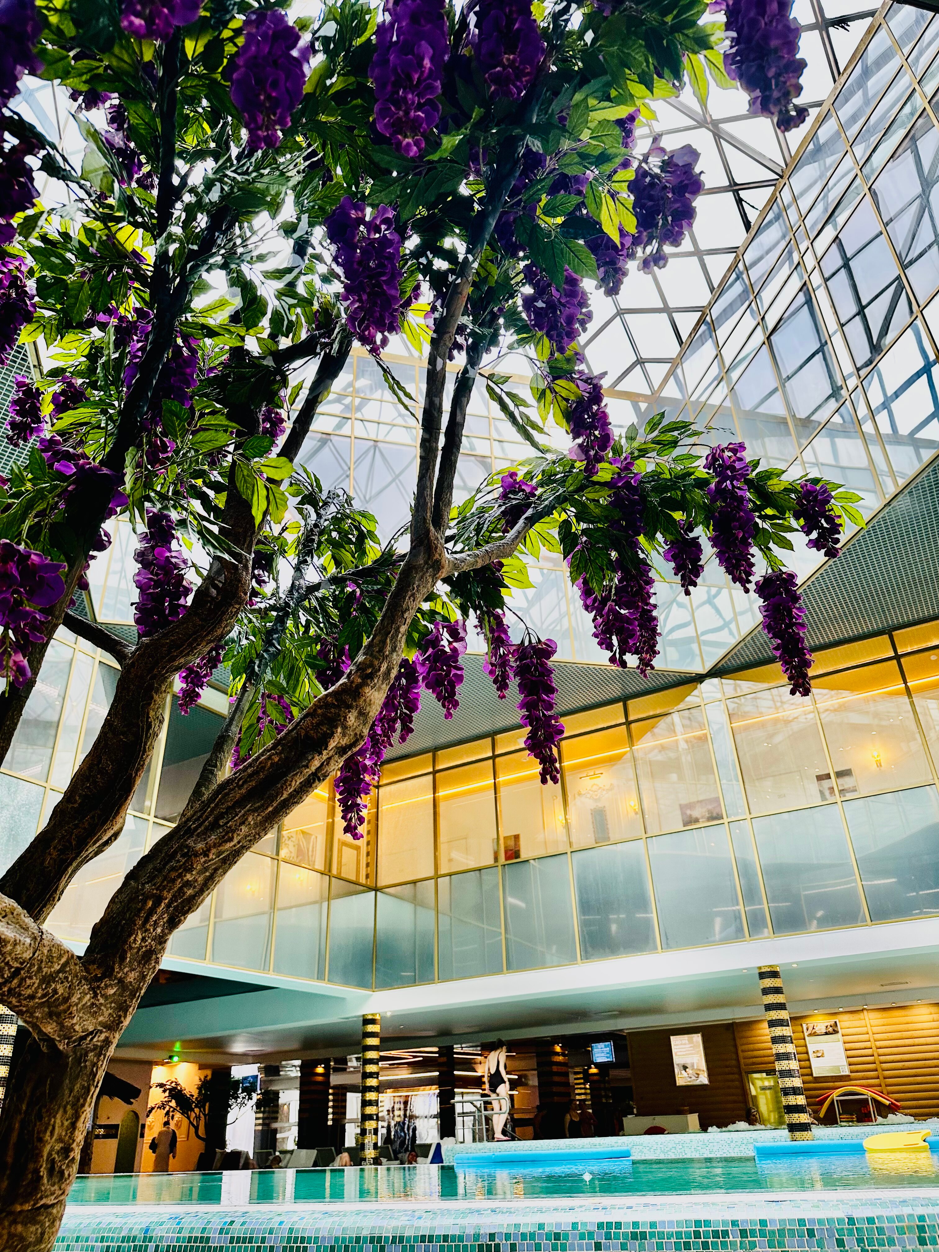 Фото Grand Wellness Hotel & SPA