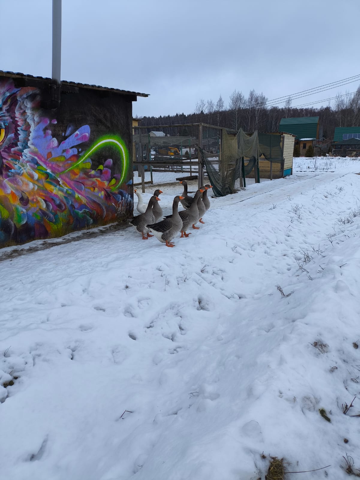 Фото Семейная экоферма