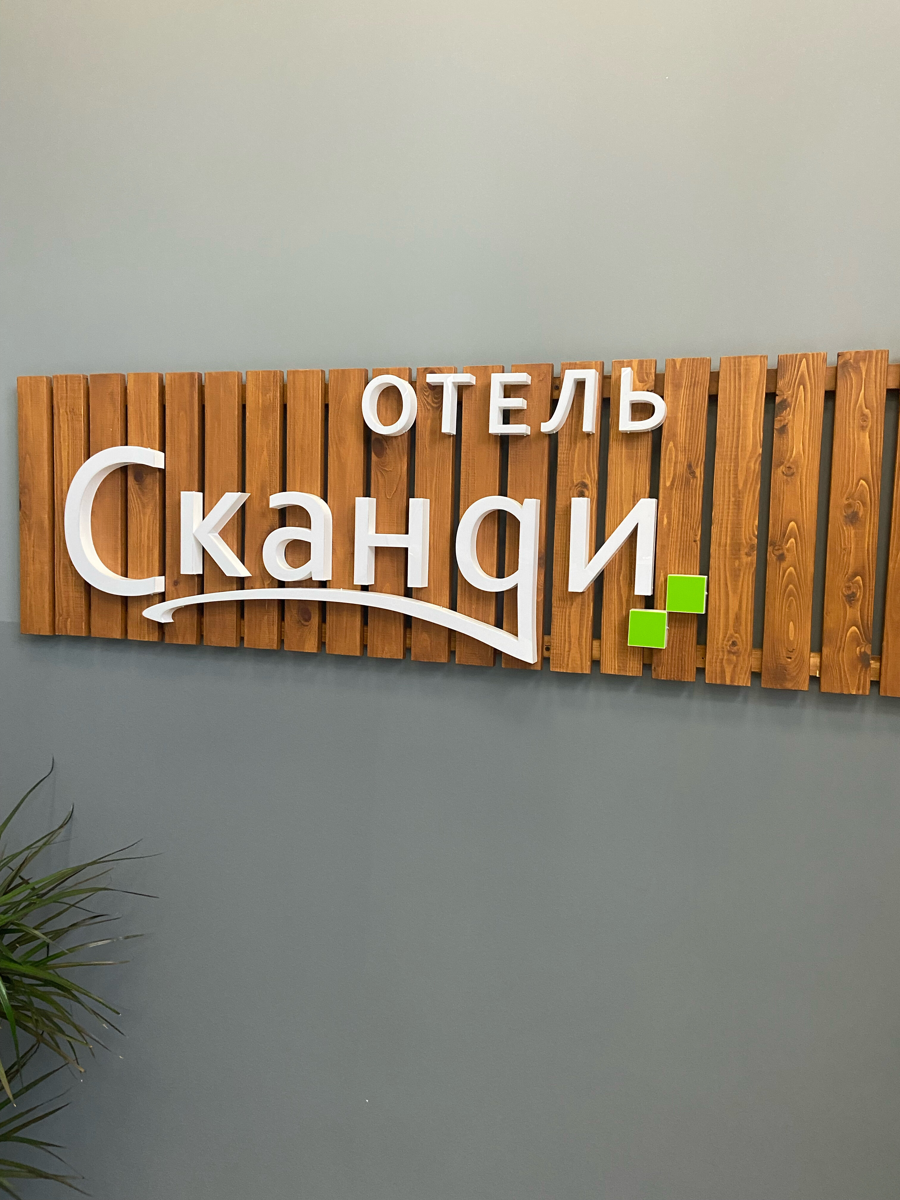 Фото Сканди